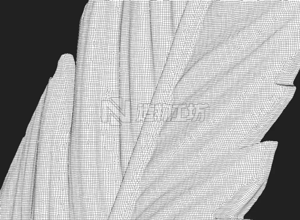 Feather Set six feathers 3D print model