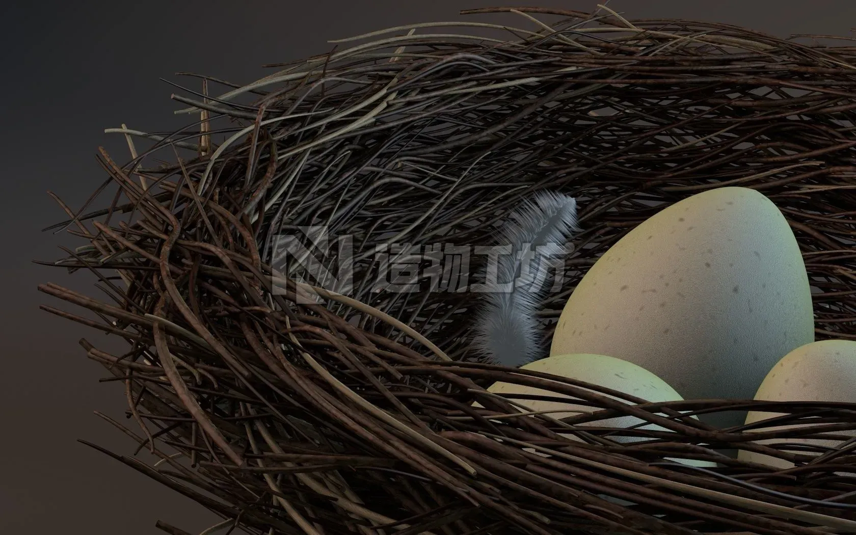 Bird nest 3D model