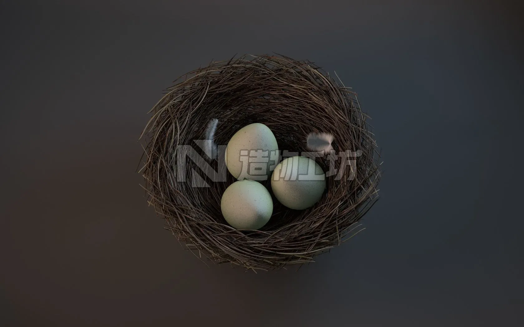 Bird nest 3D model
