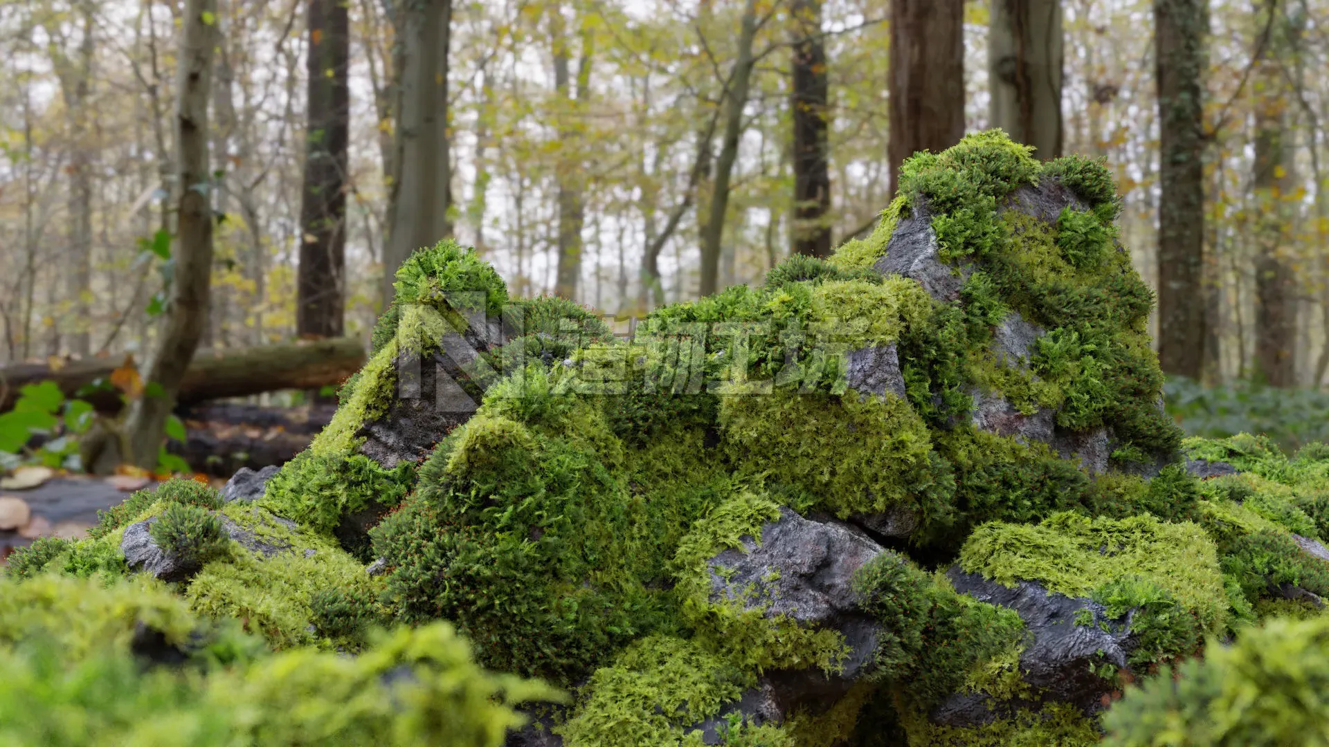 Moss 7 Species and Stones - PBR Asset Kit Low-poly 3D model