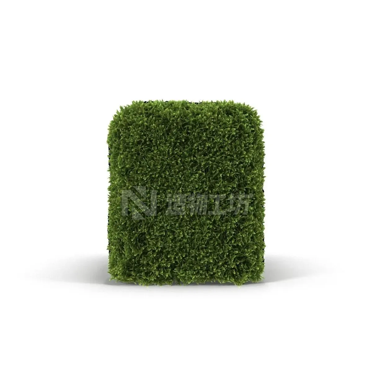 Hedge Box 3D model