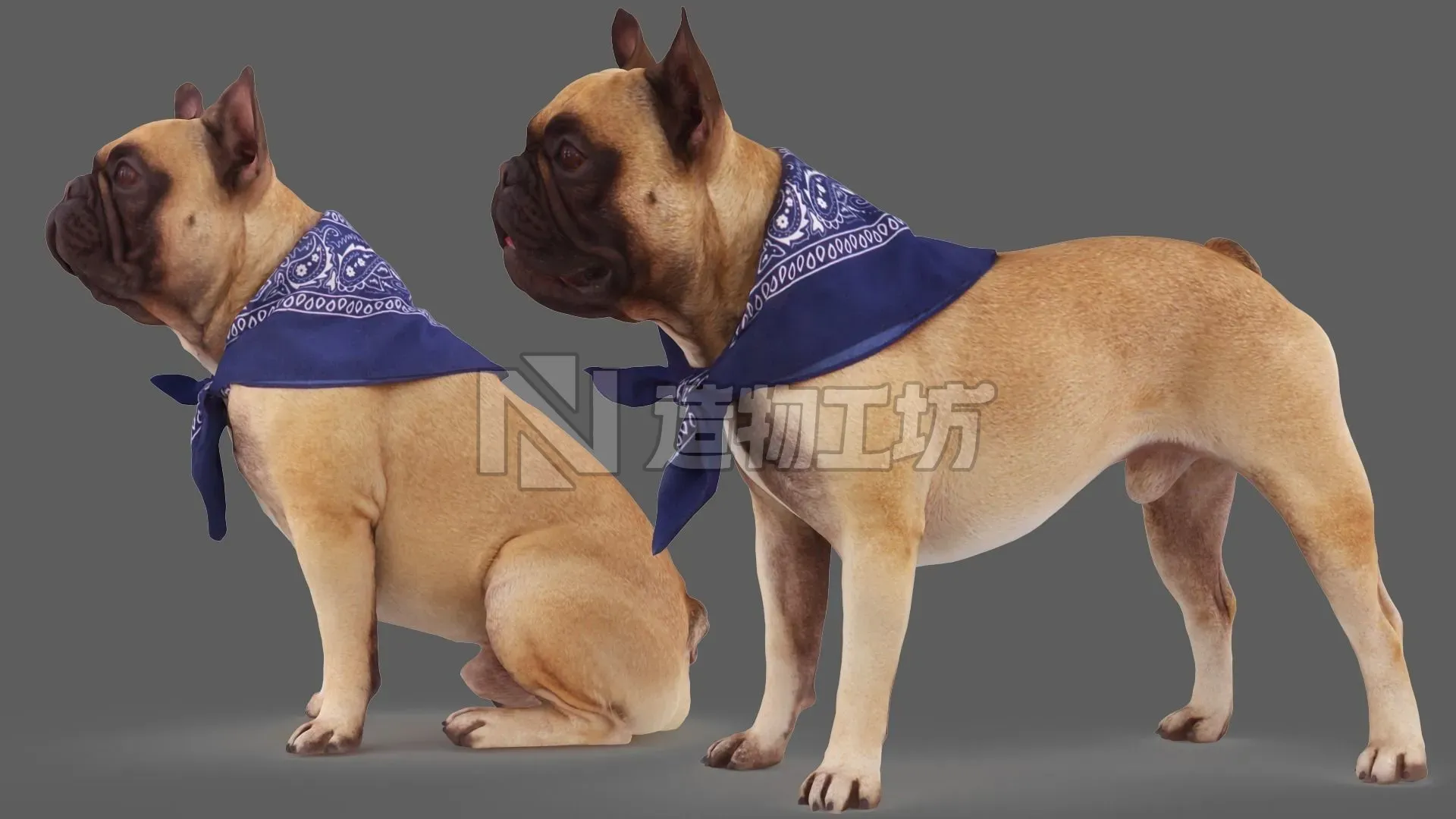 French Bulldog Collection x2 