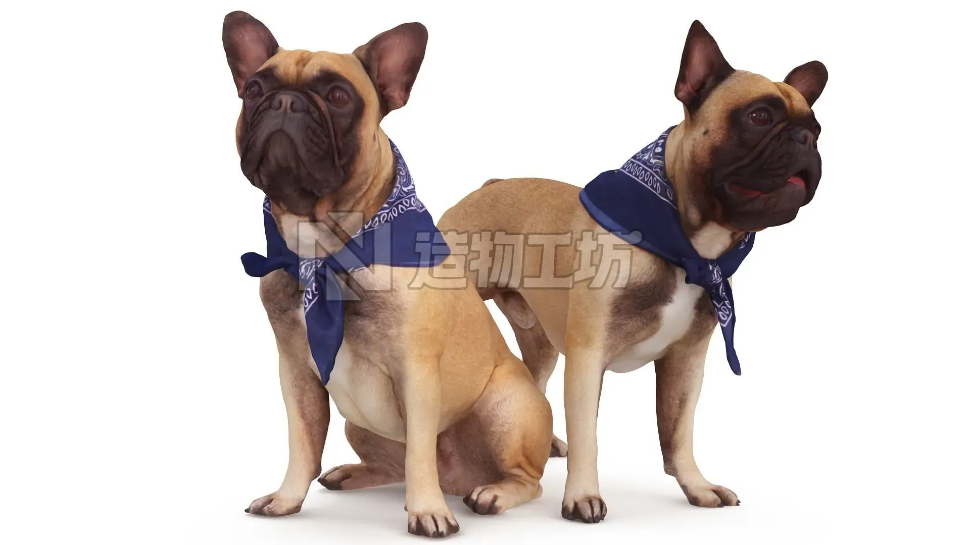 French Bulldog Collection x2 