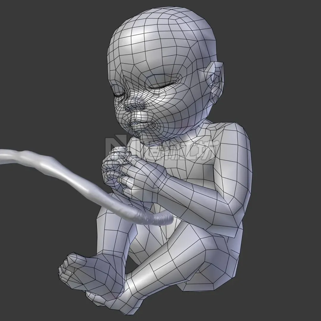 Prenatal baby 3D model