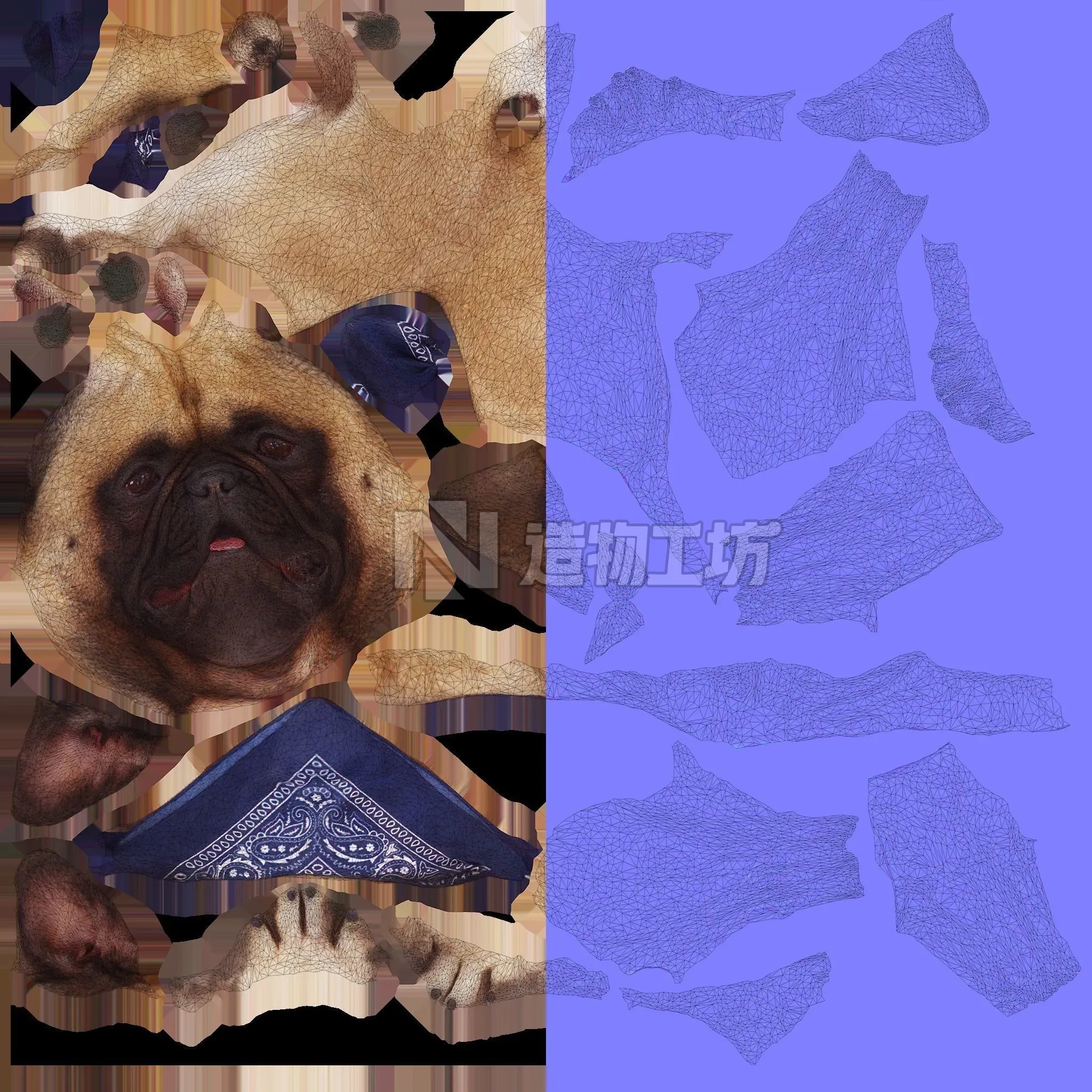 French Bulldog Collection x2 