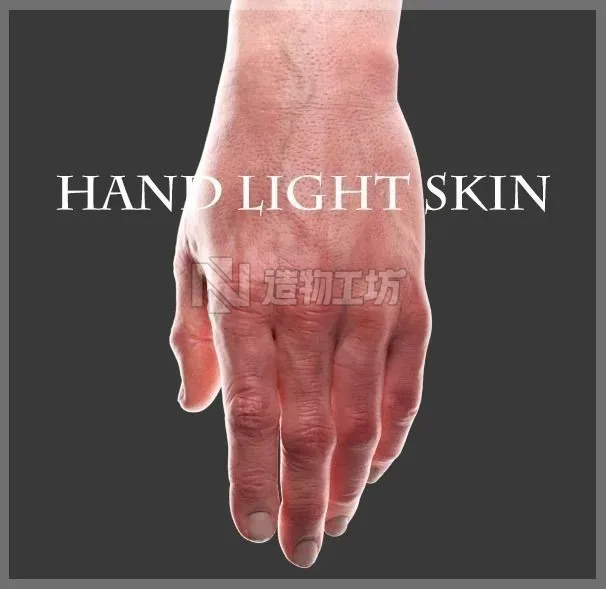 Hand Light skin LowPoly CG Low-poly 3D model