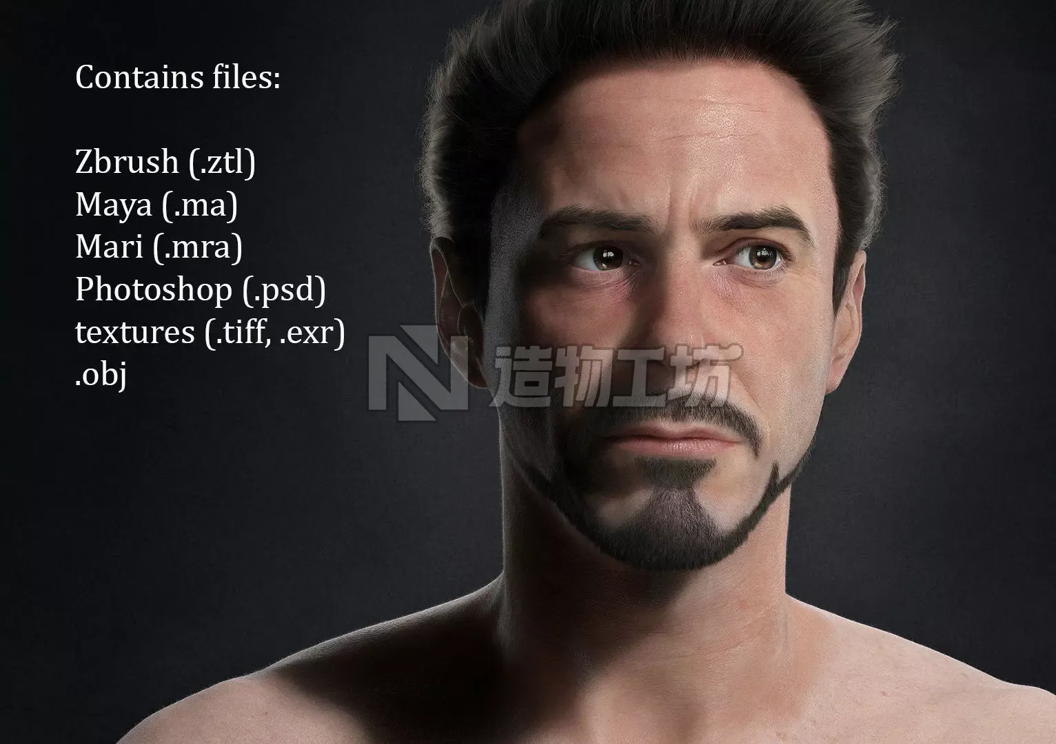 Robert Downey Jr Low-poly 3D model