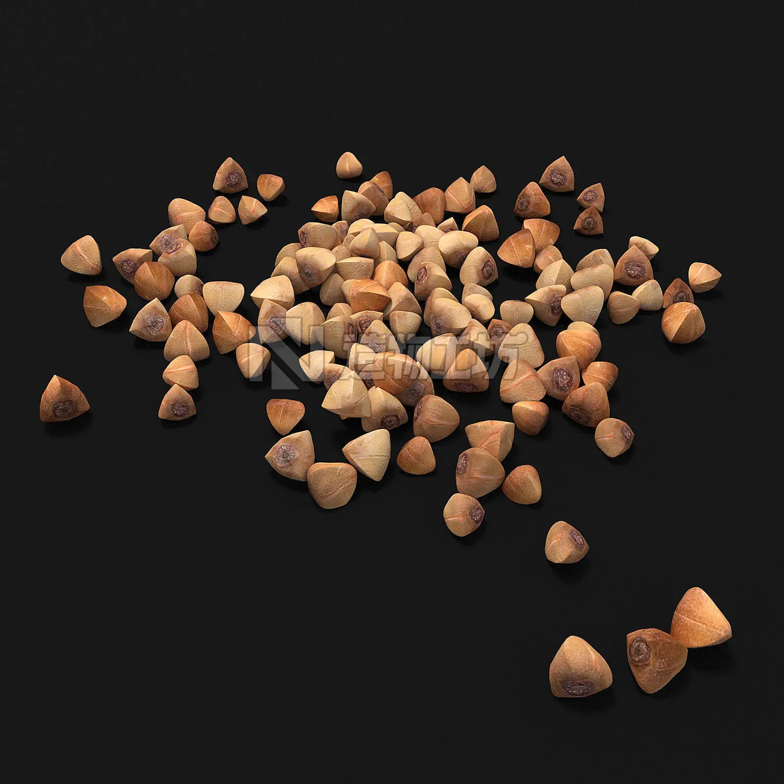 Seeds 3D model