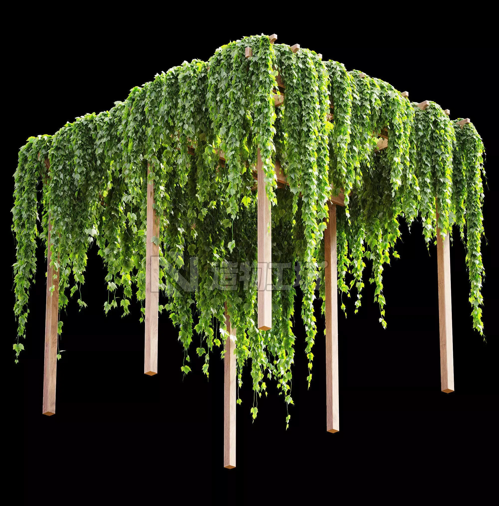 Pergola with grape leaves 3D model