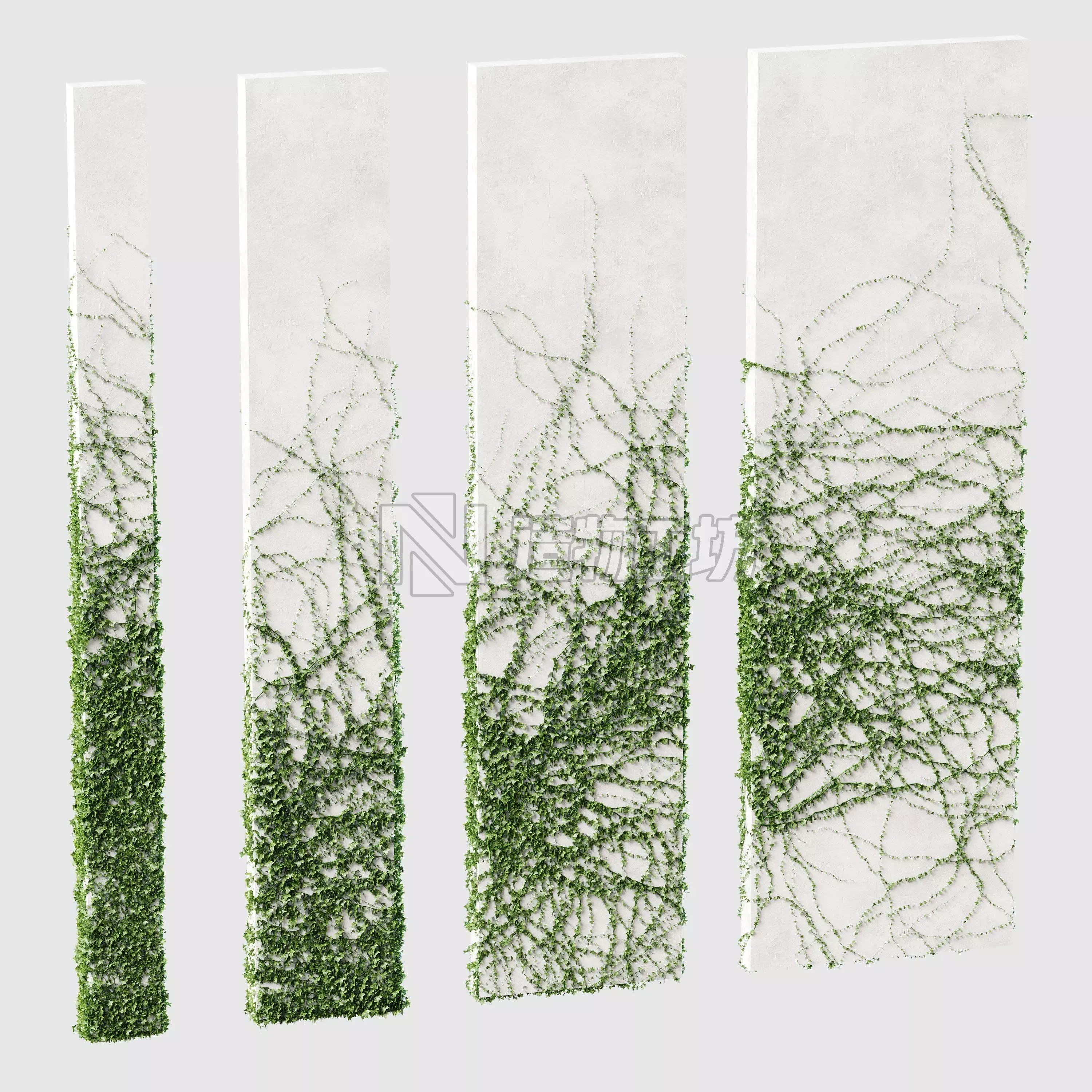 Ivy for rectangular columns 4 models 3D model