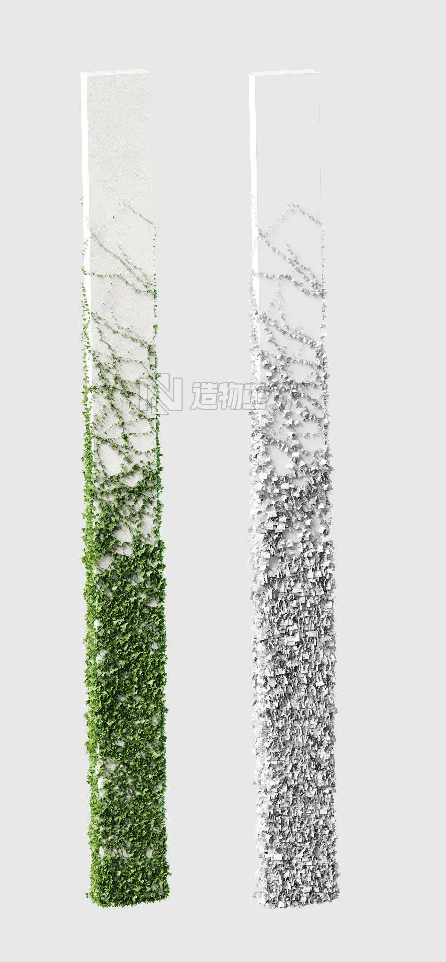 Ivy for rectangular columns 4 models 3D model