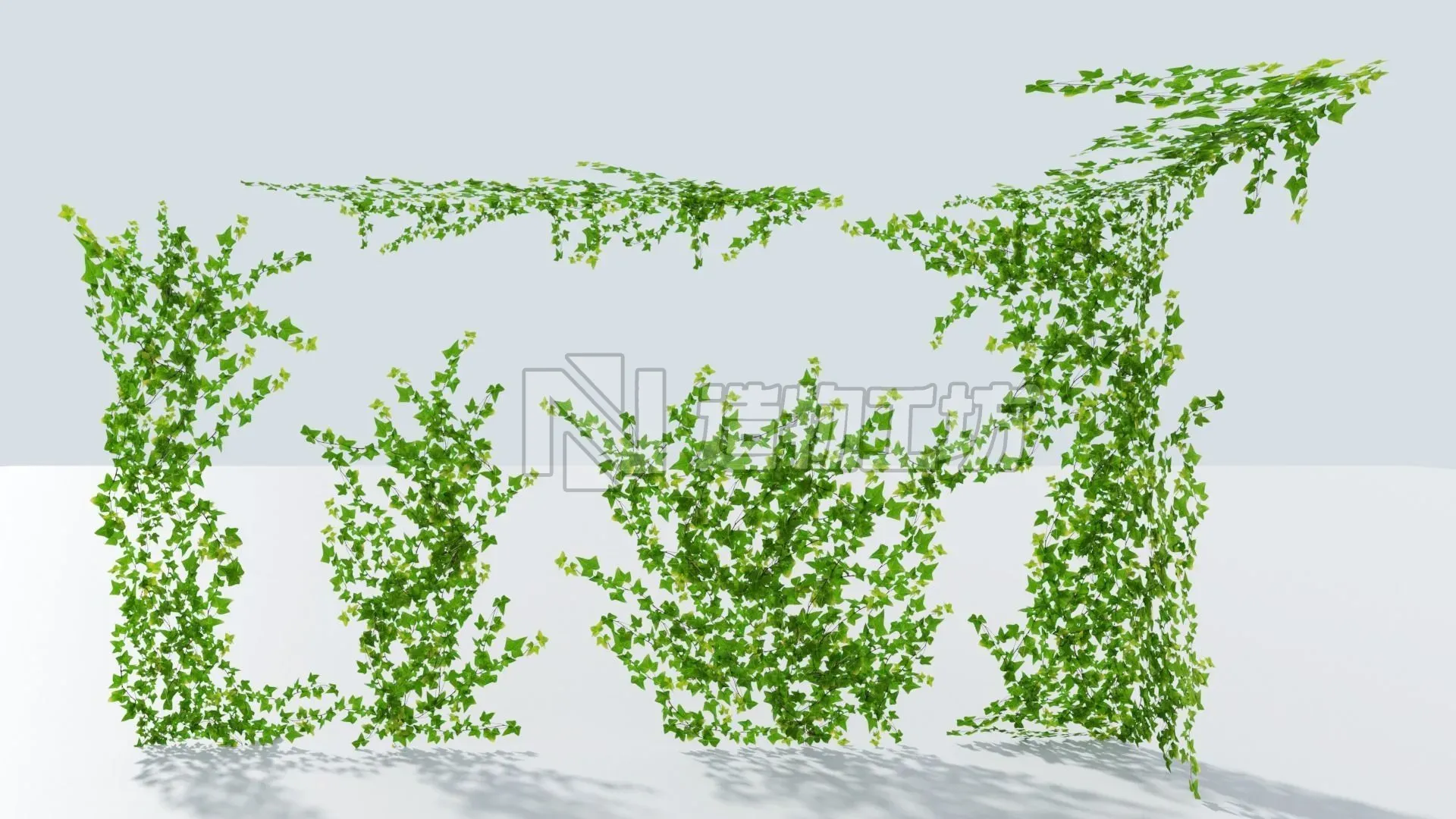 LowPoly Ivy wall Low-poly 3D model