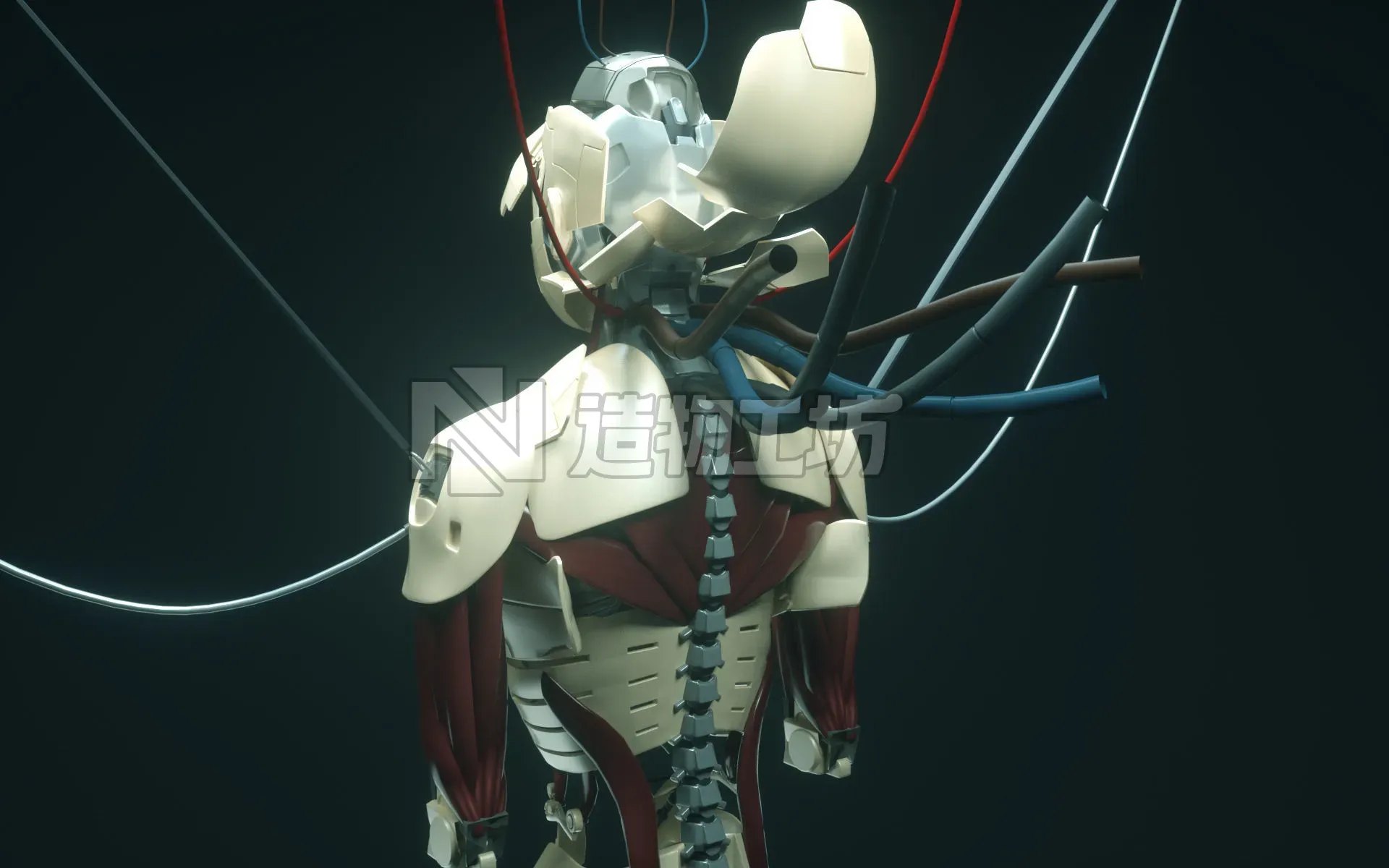 Android Ghost in the Shell SCI FI 3D model