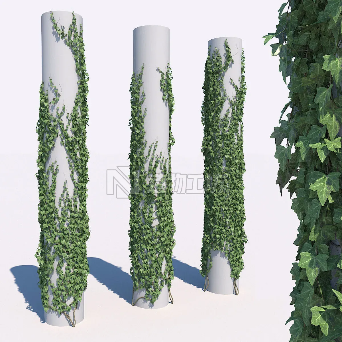 Ivy set 01 3D model
