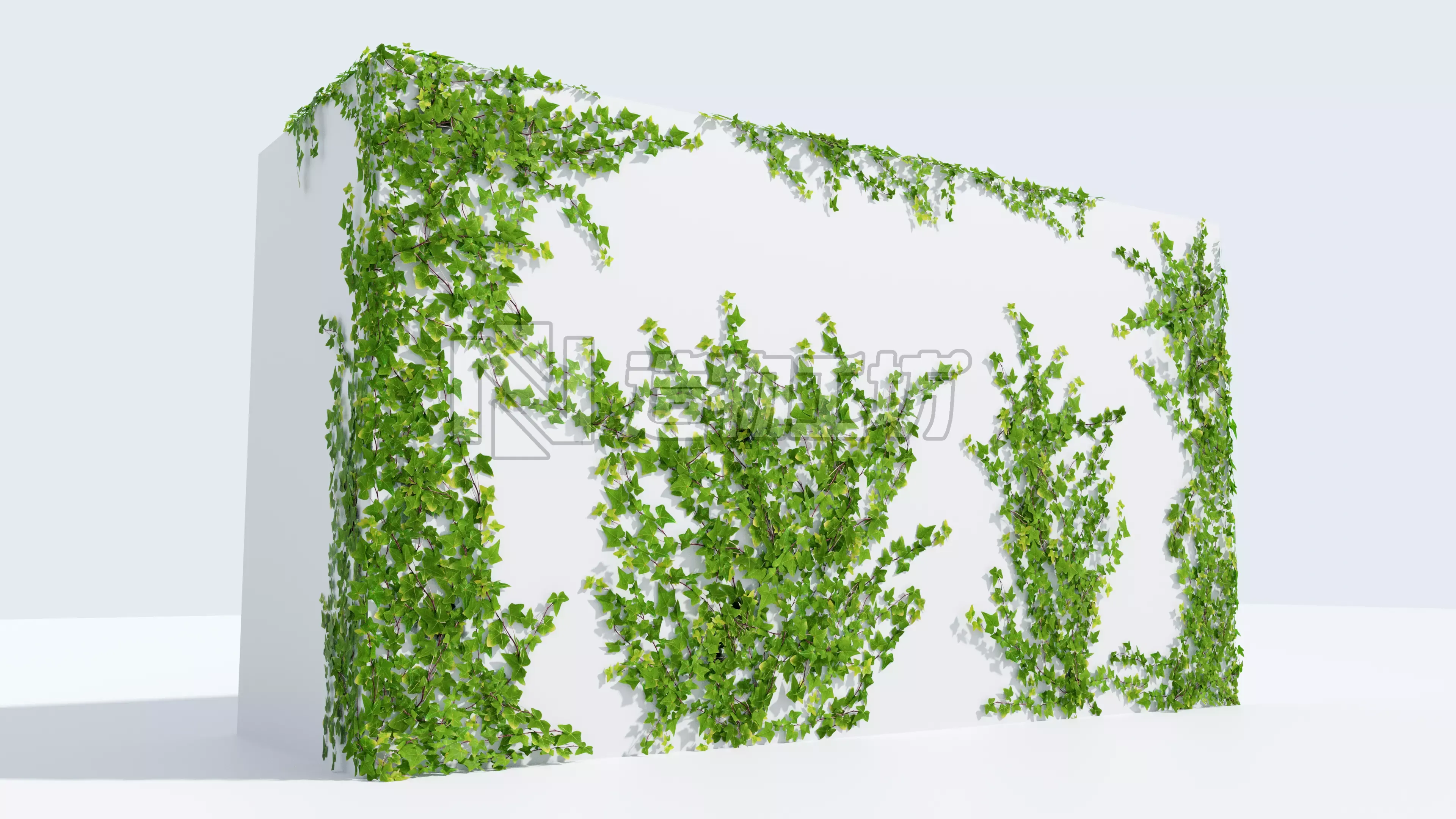 LowPoly Ivy wall Low-poly 3D model