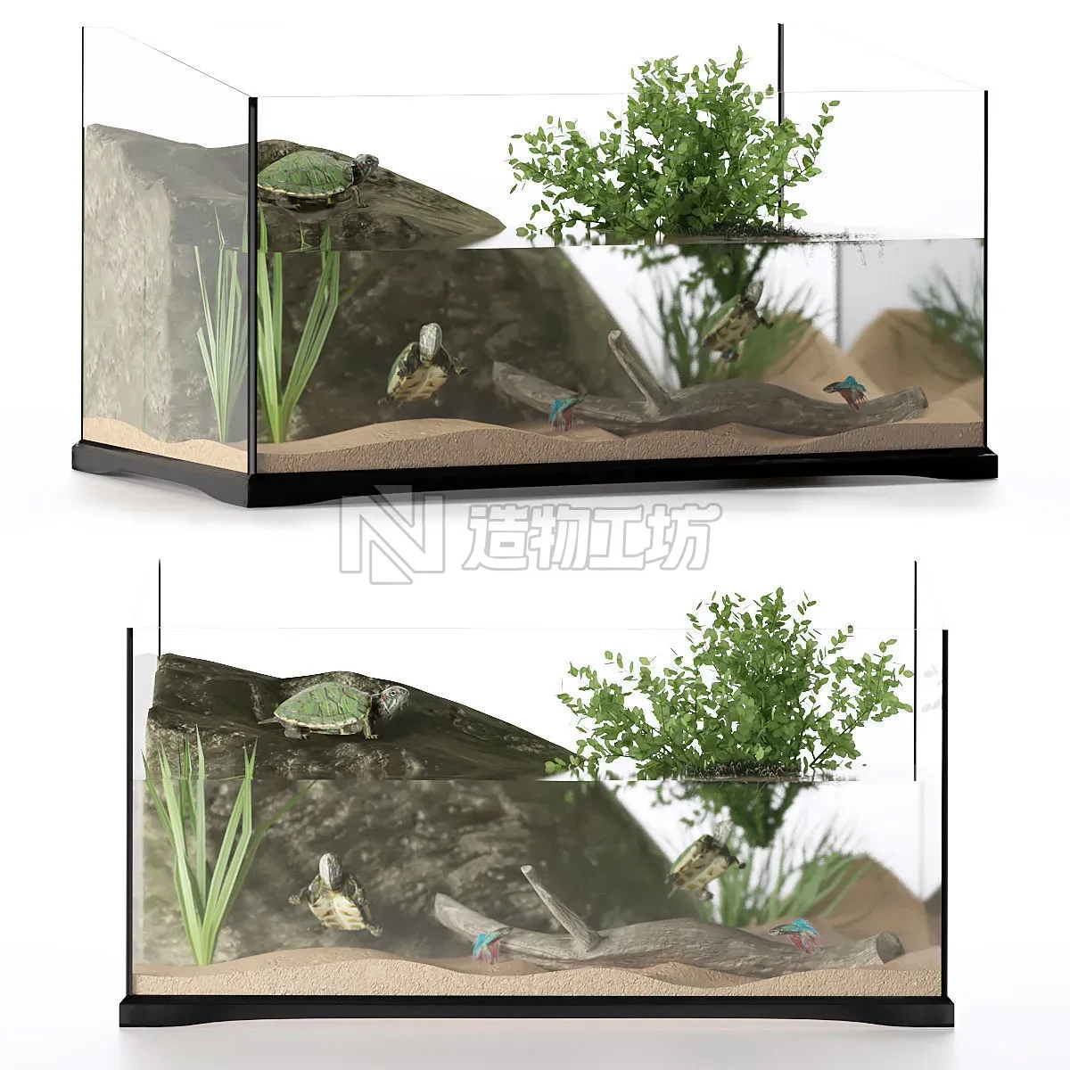 A set of terrariums  bonus Blue Island Viper Low-poly 3D model