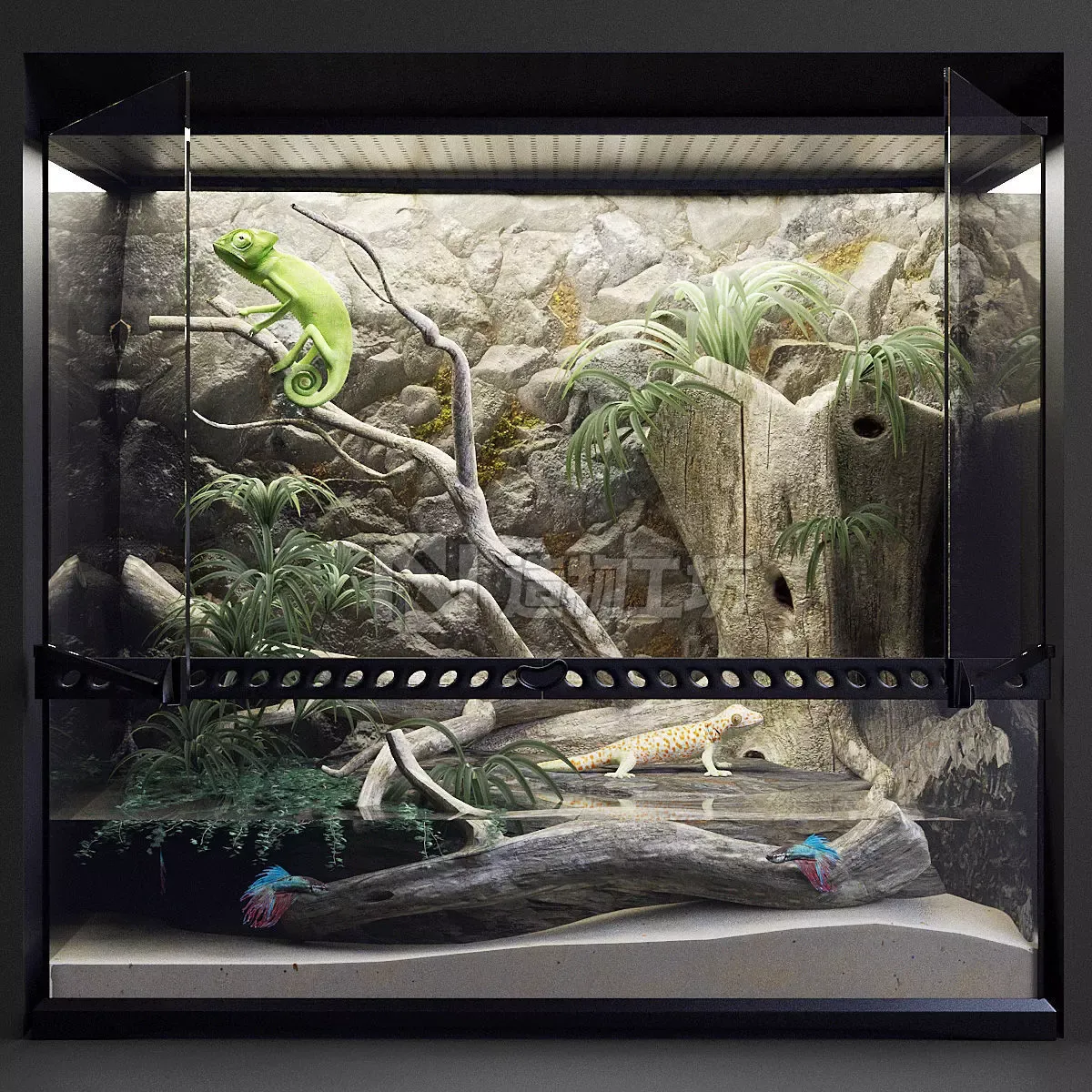 A set of terrariums  bonus Blue Island Viper Low-poly 3D model
