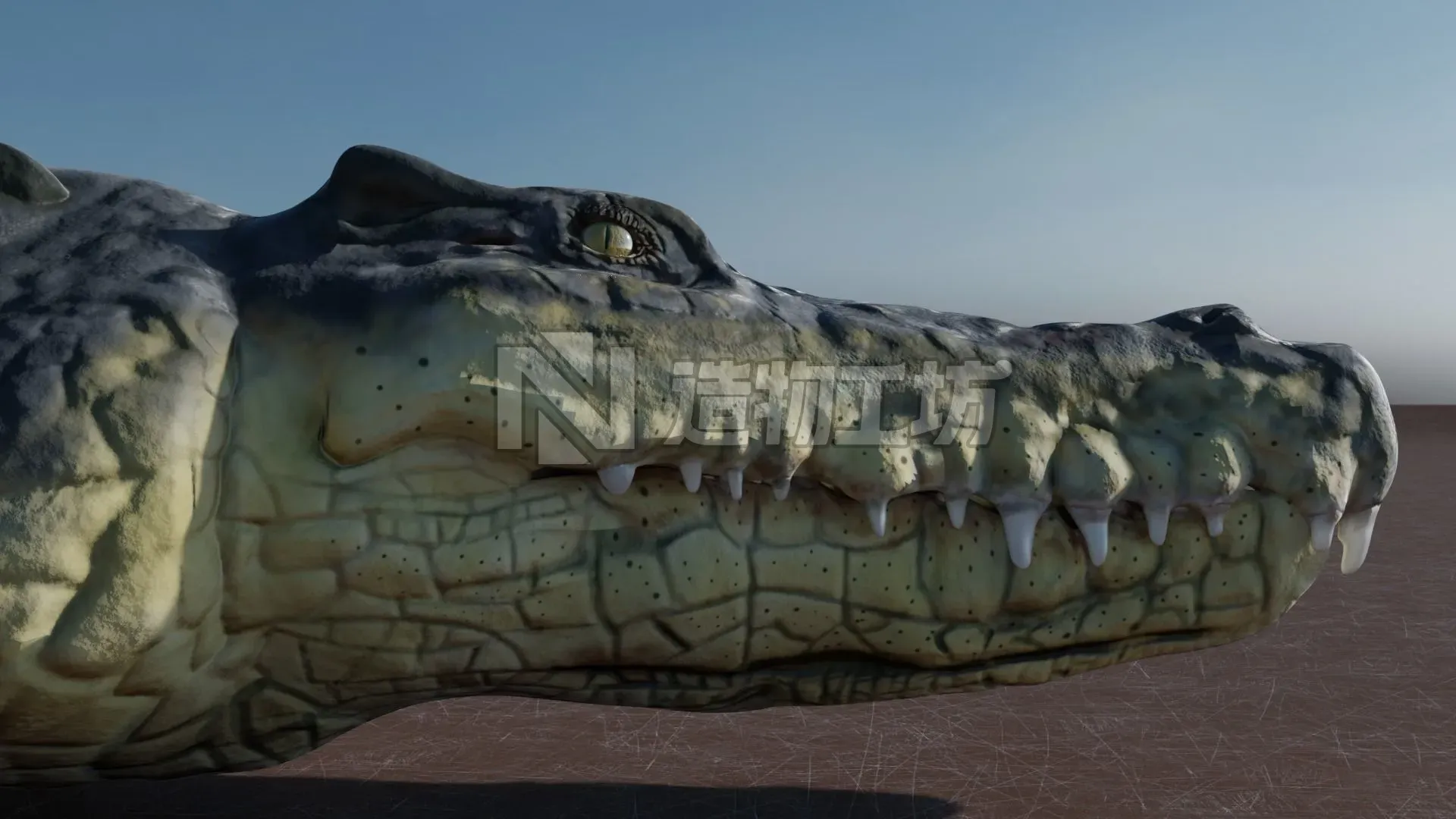 Low Poly Crocodile Low-poly 3D model