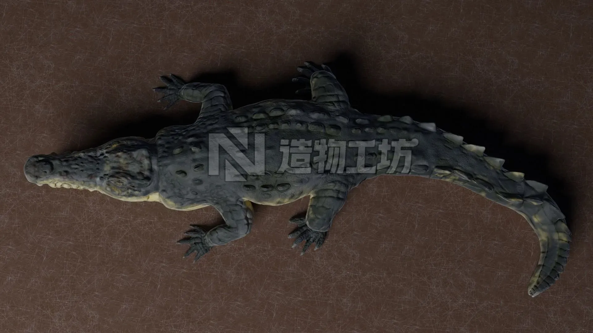 Low Poly Crocodile Low-poly 3D model