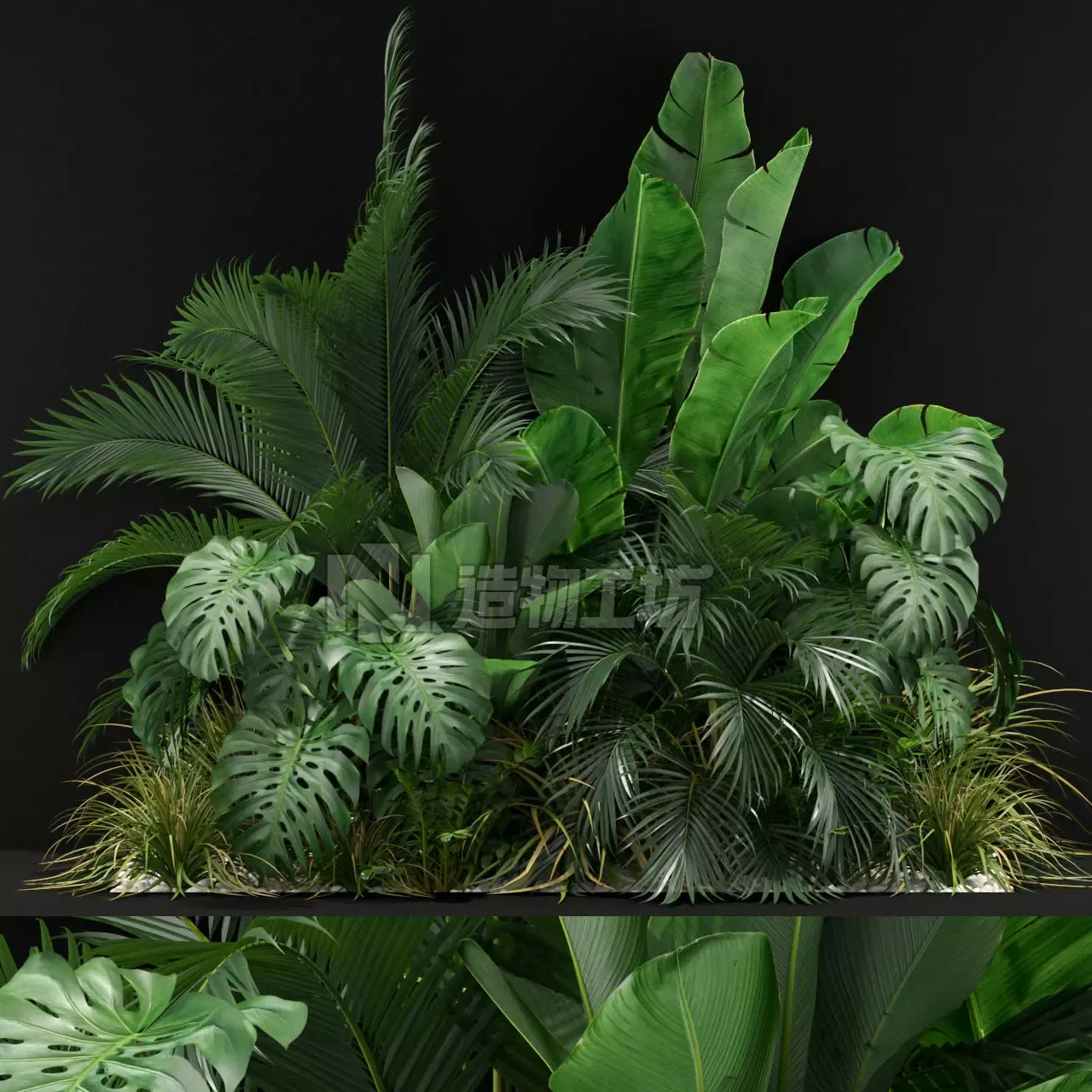 Plants collection 357 3D model