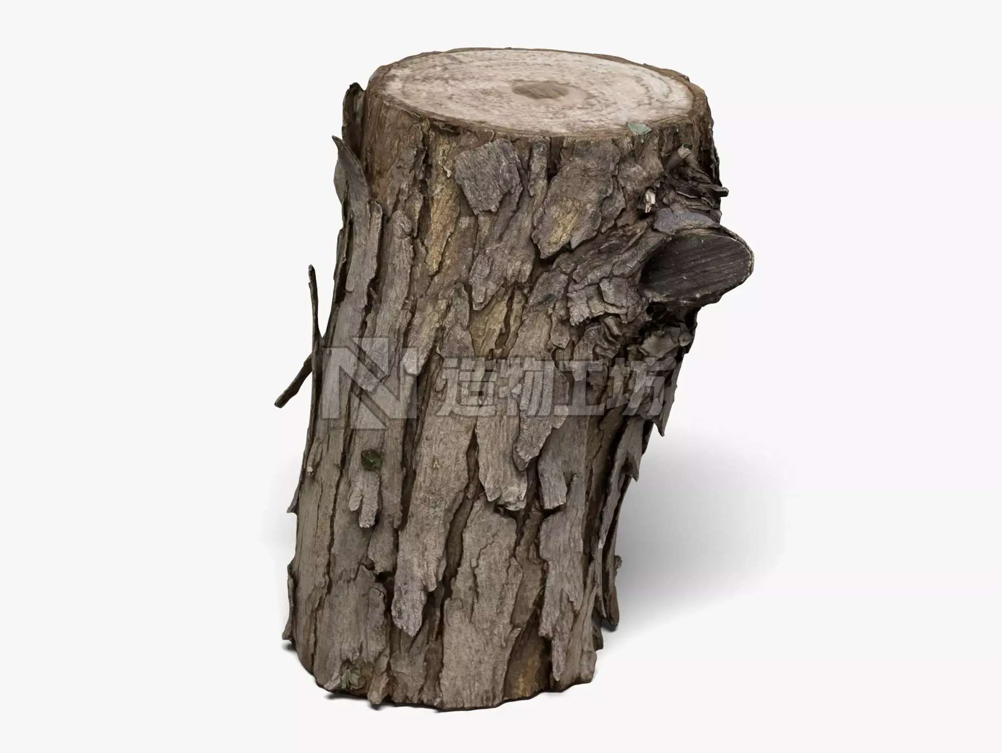 Wood Log - 8K Scan 3D model