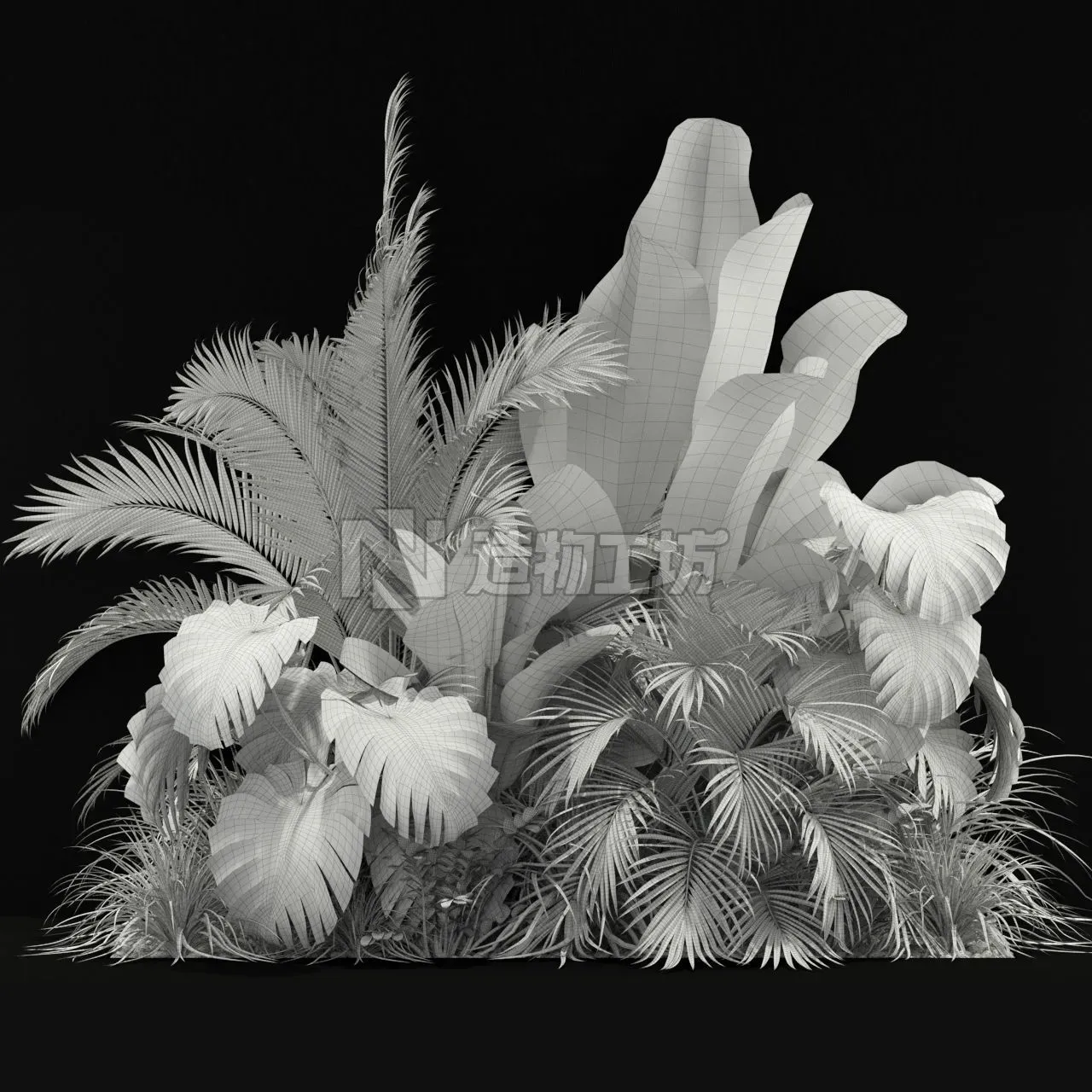 Plants collection 357 3D model