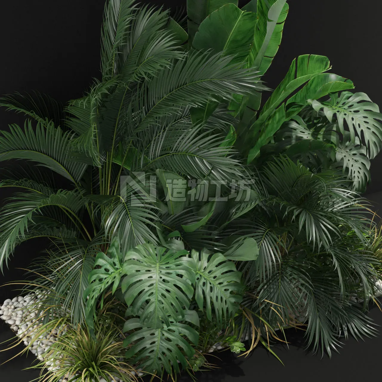 Plants collection 357 3D model