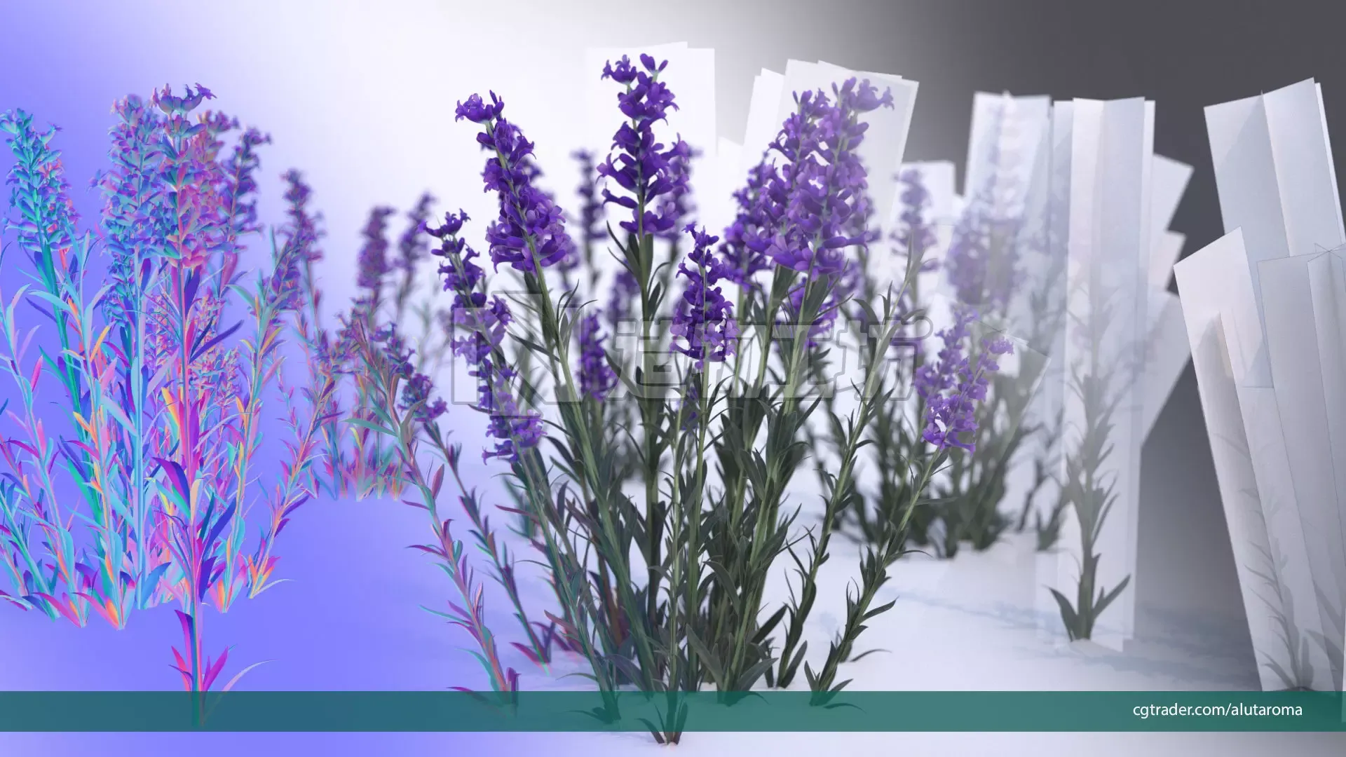Lavender LOW POLY very detailed texture Low-poly 3D model