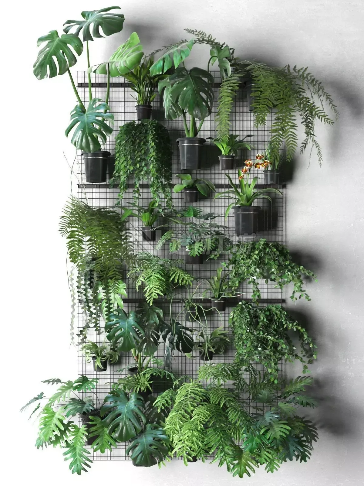 Wall Grid with Pot Plants 3D model
