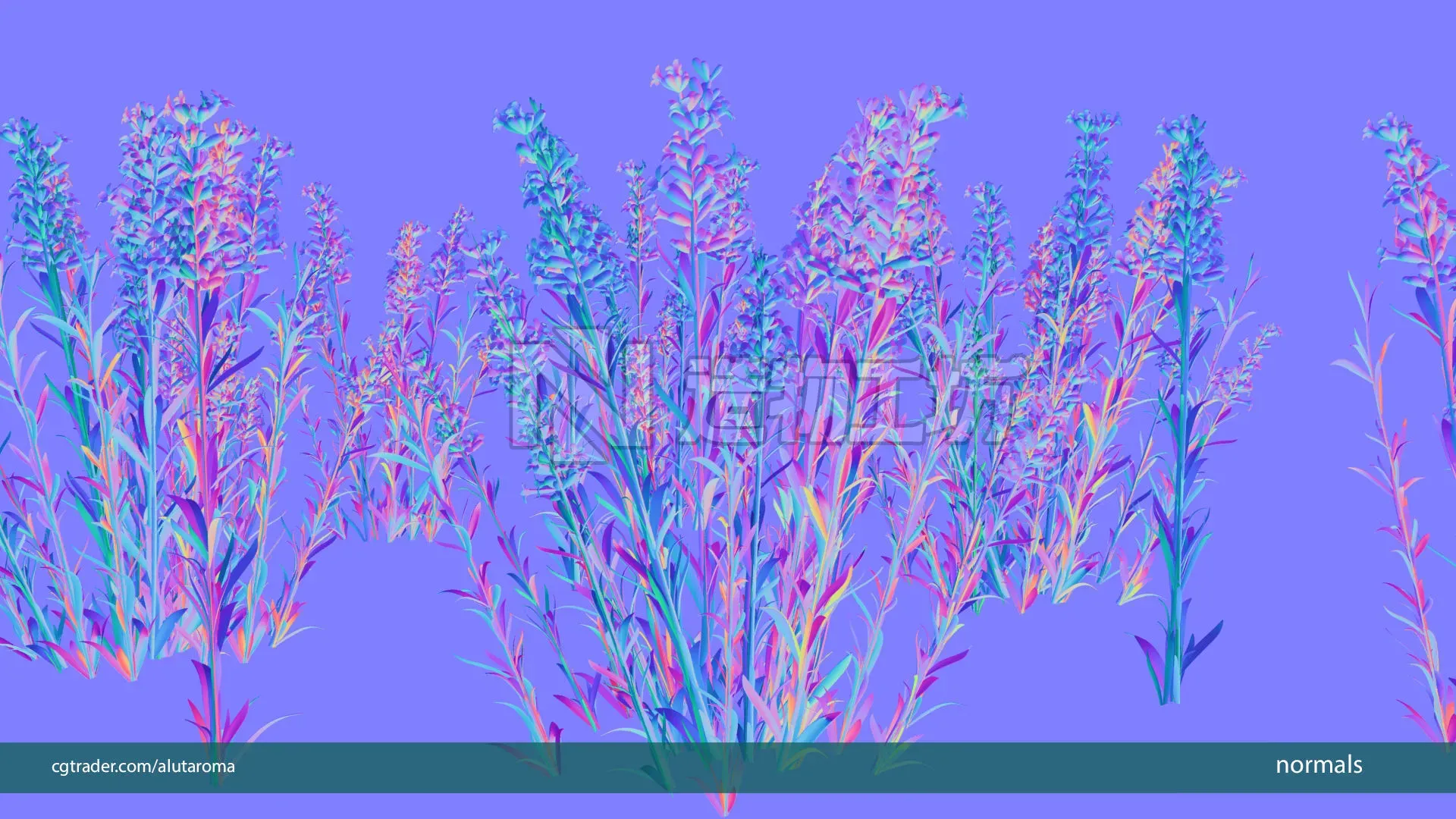 Lavender LOW POLY very detailed texture Low-poly 3D model