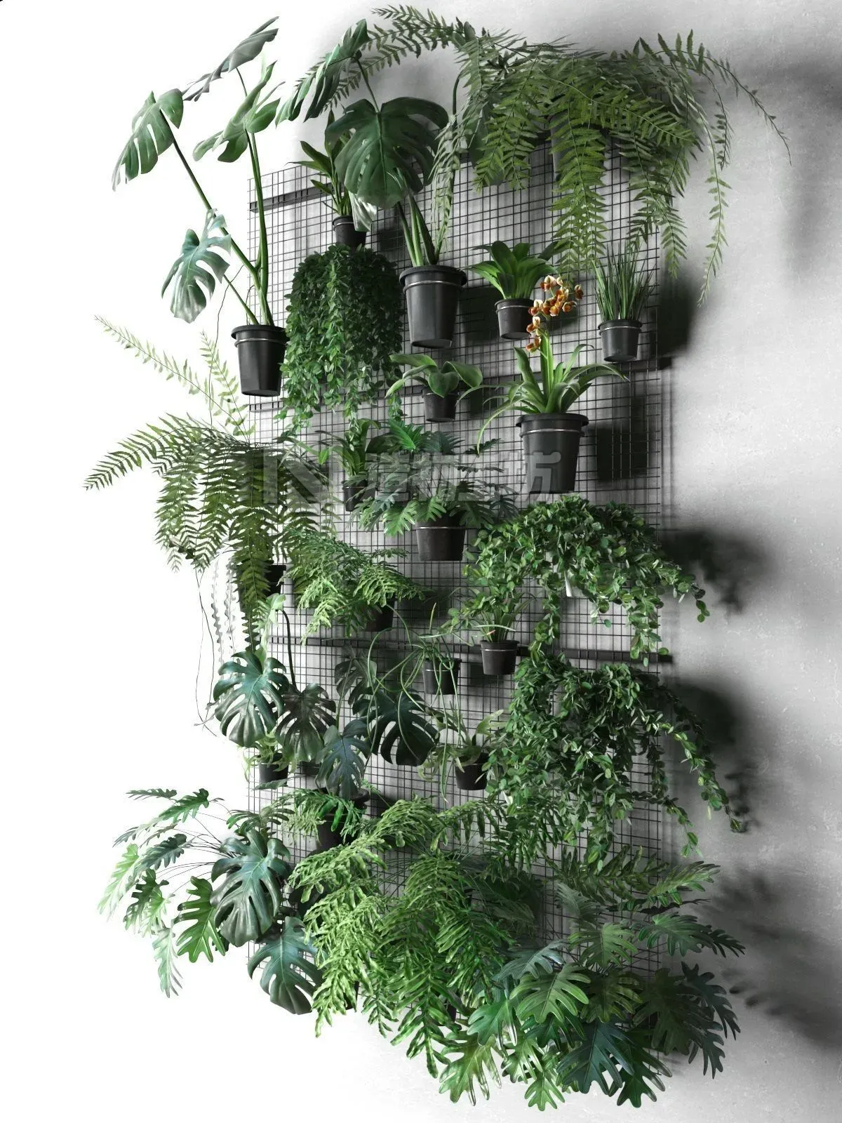 Wall Grid with Pot Plants 3D model