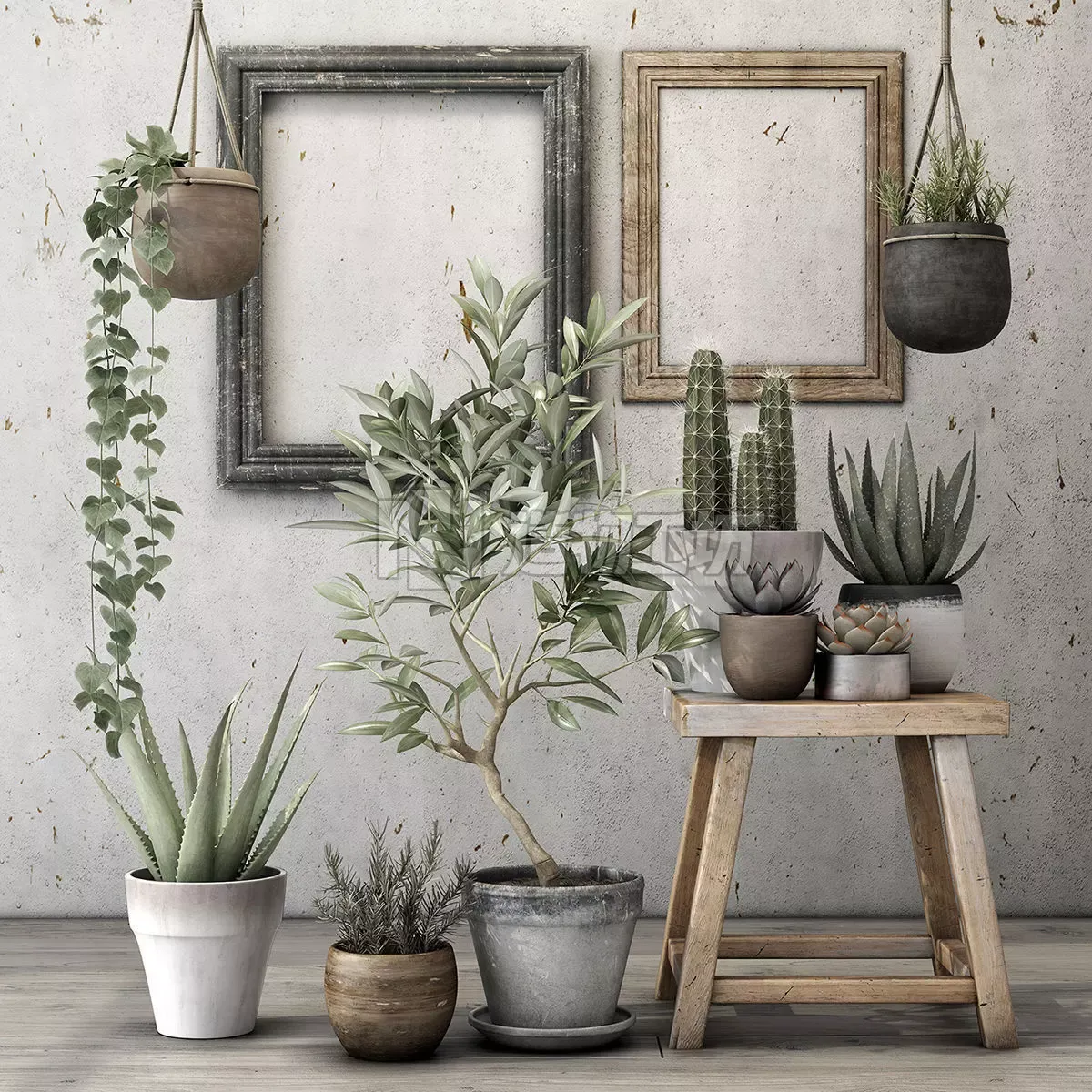 Plants potted on wooden stool 3D model