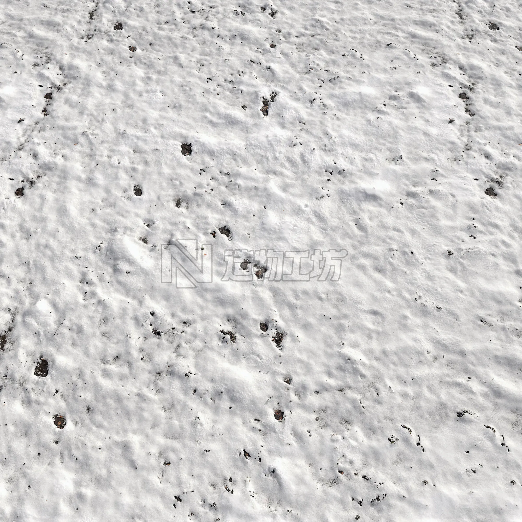 Snow ground Scan 10k 3D model