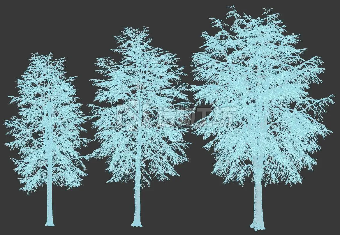 Tilia europaea Nr 7 H11-14m Three winter tree set 3D model