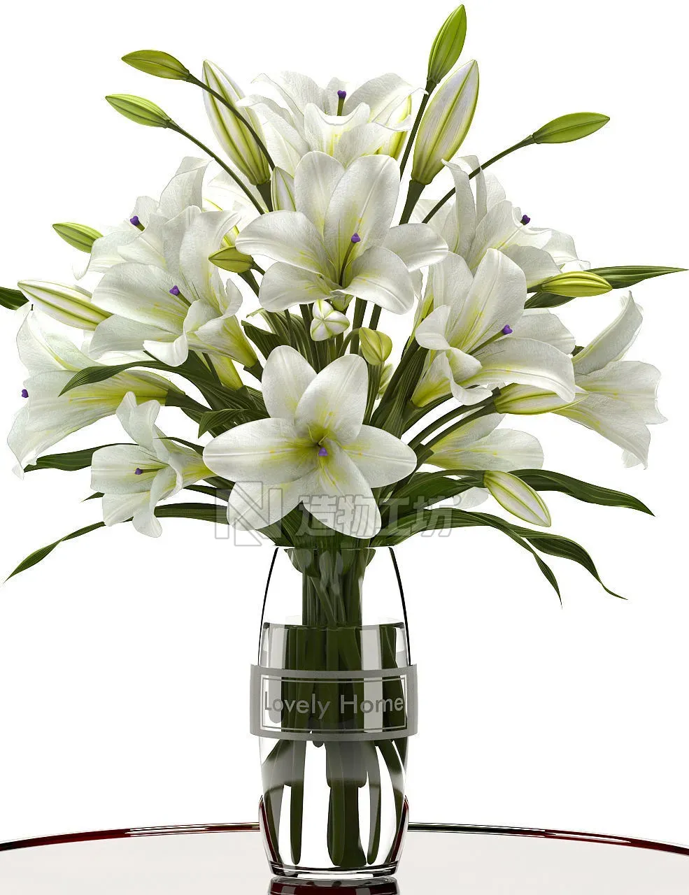white lilly 3D model