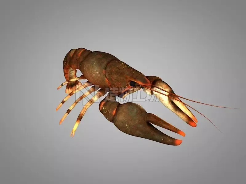 Cancer crayfish Low-poly 3D model