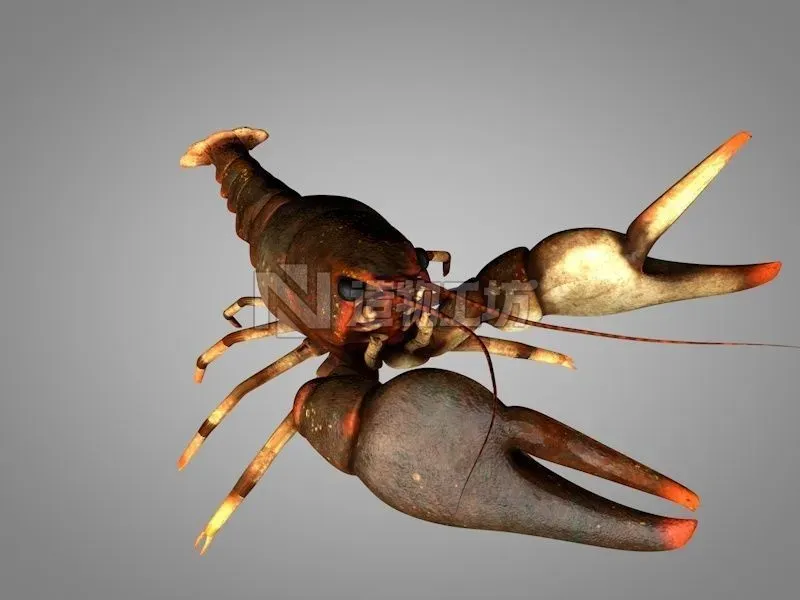 Cancer crayfish Low-poly 3D model