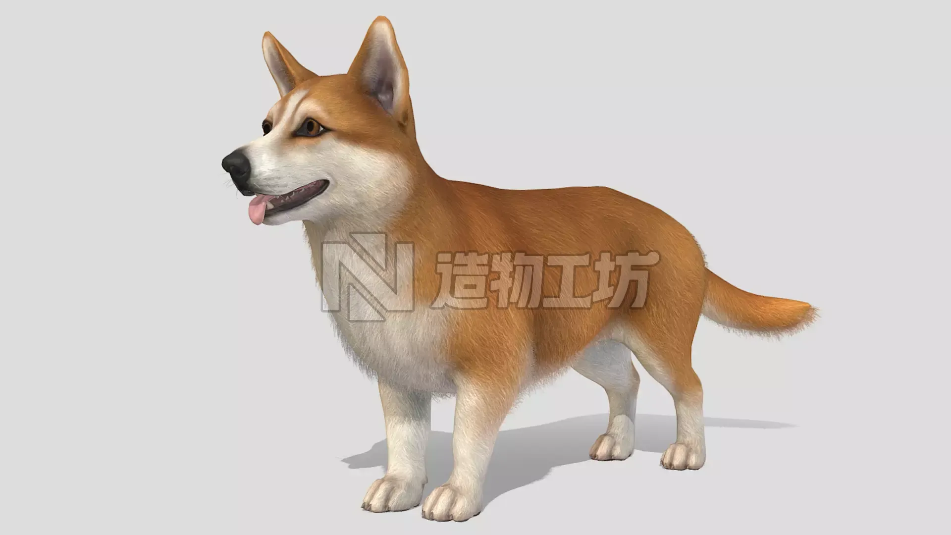 Dog - Corgi Low-poly 3D model