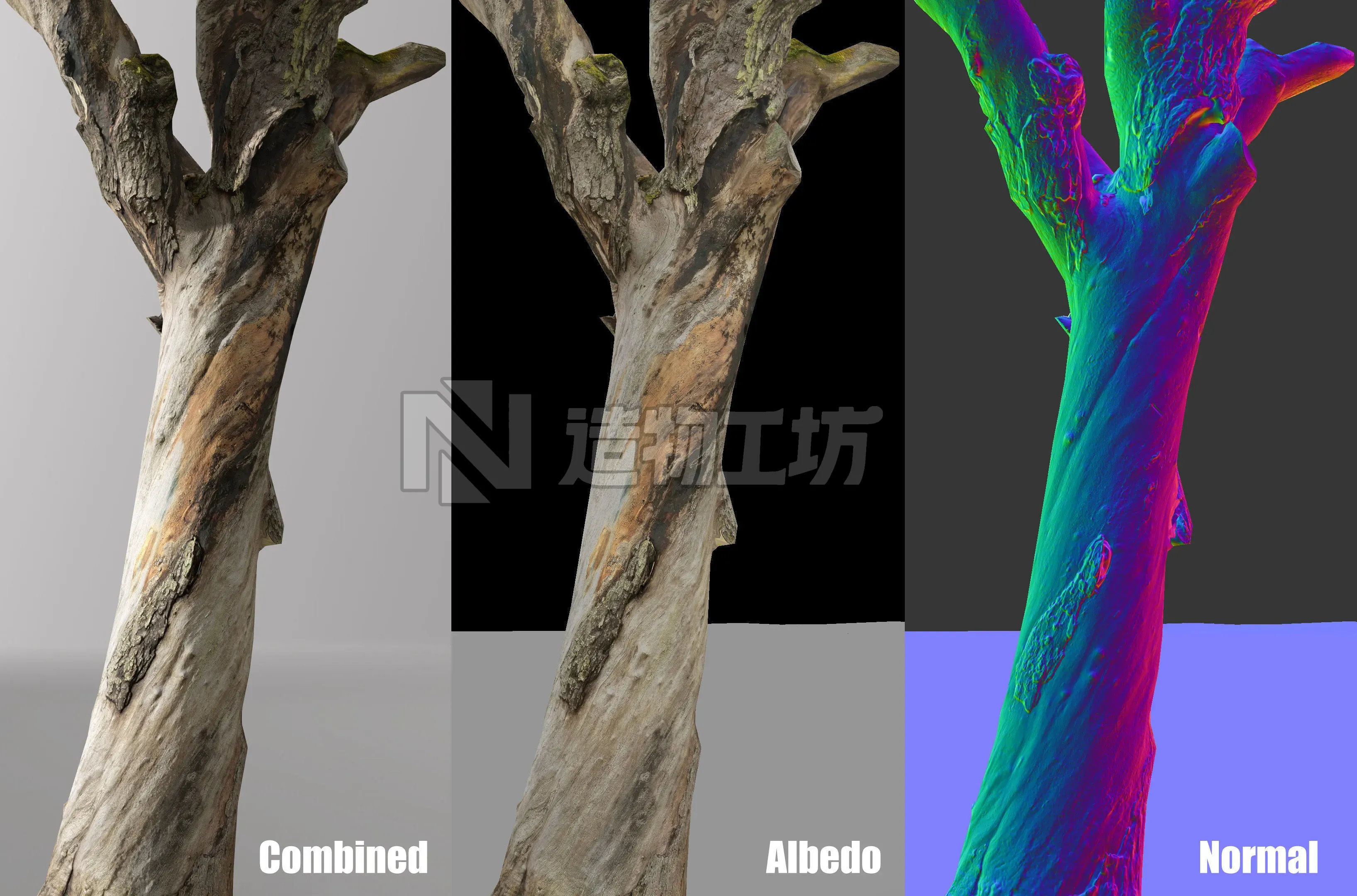 Dead Tree Collection 3D Low poly Low-poly 3D model