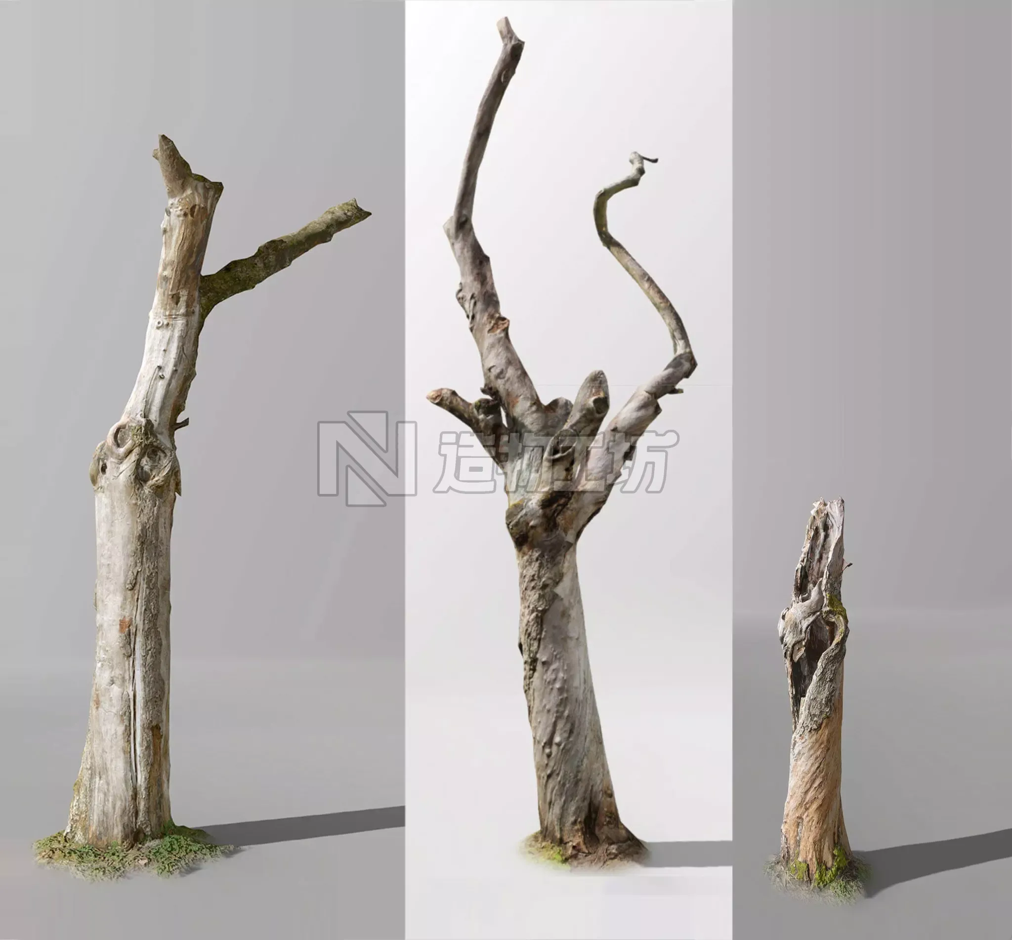 Dead Tree Collection 3D Low poly Low-poly 3D model