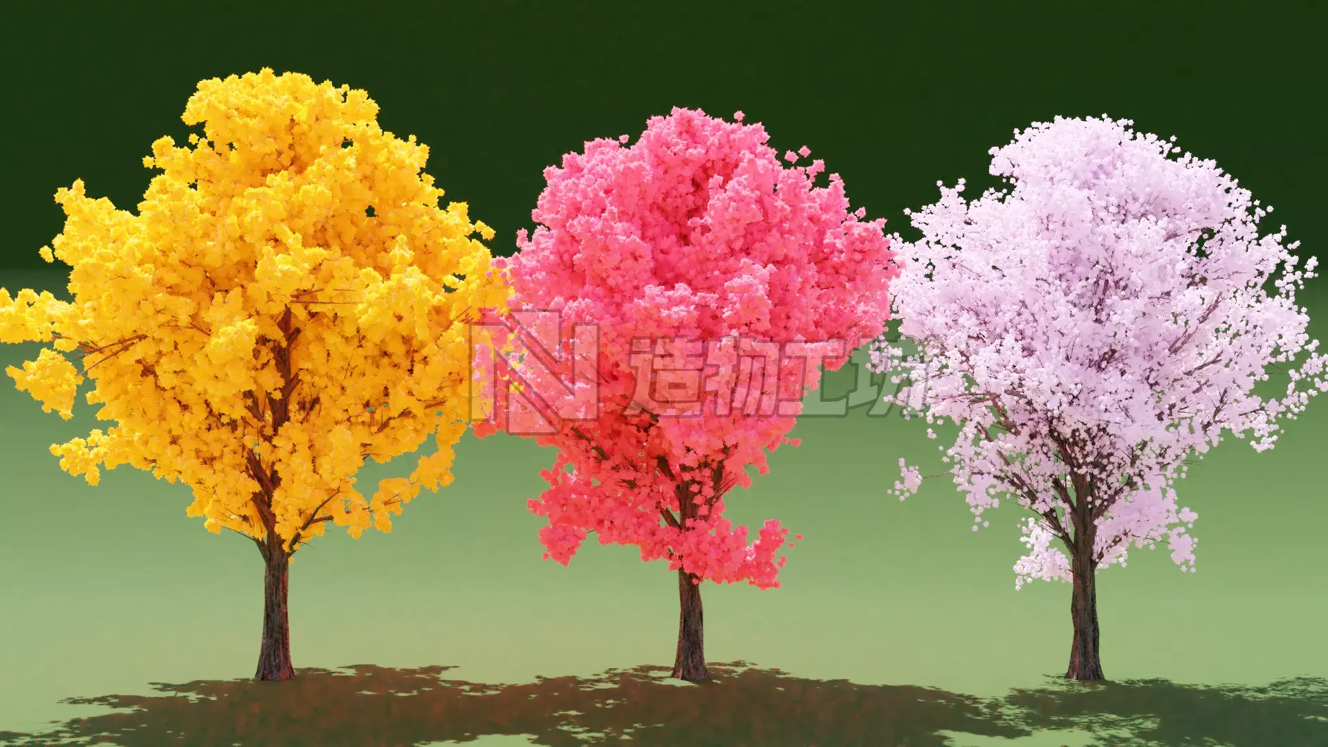 3 Colorful Trees 3D model