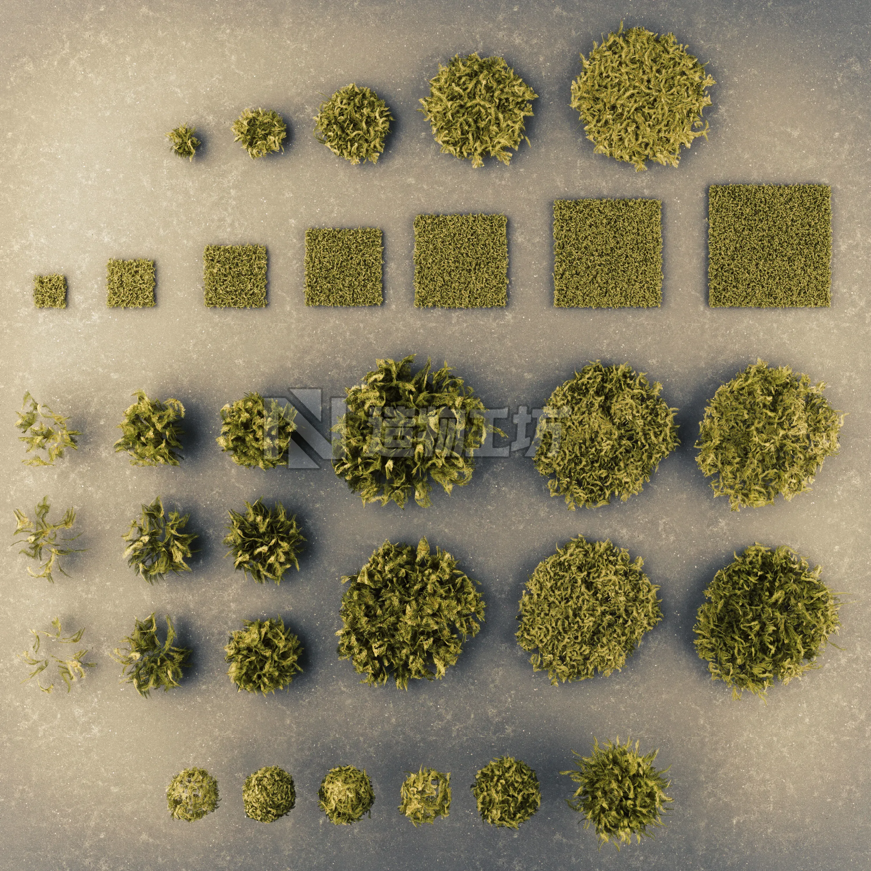 Moss Pack Low Poly 3D Model Collection