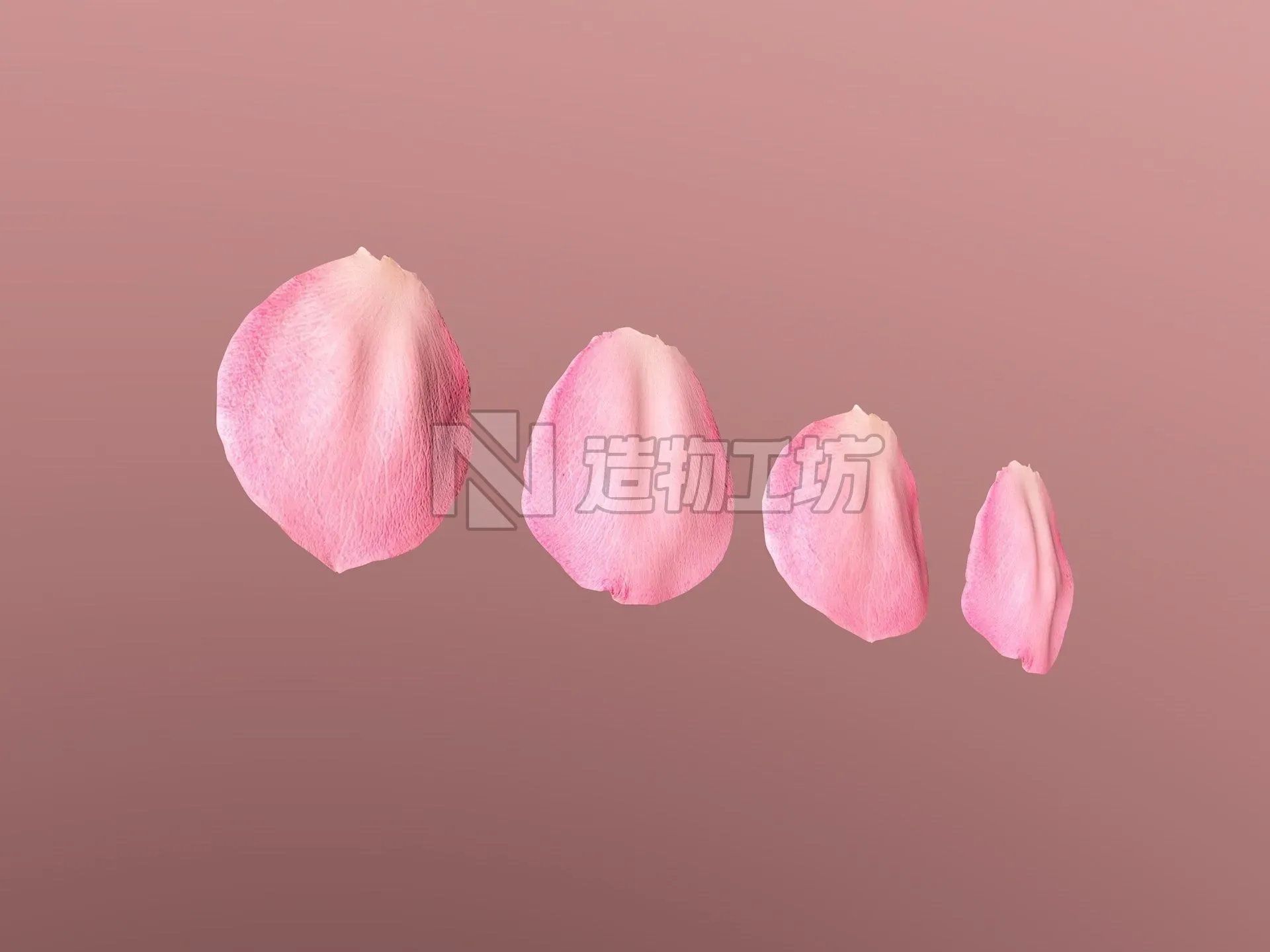 Petals pack 3D model