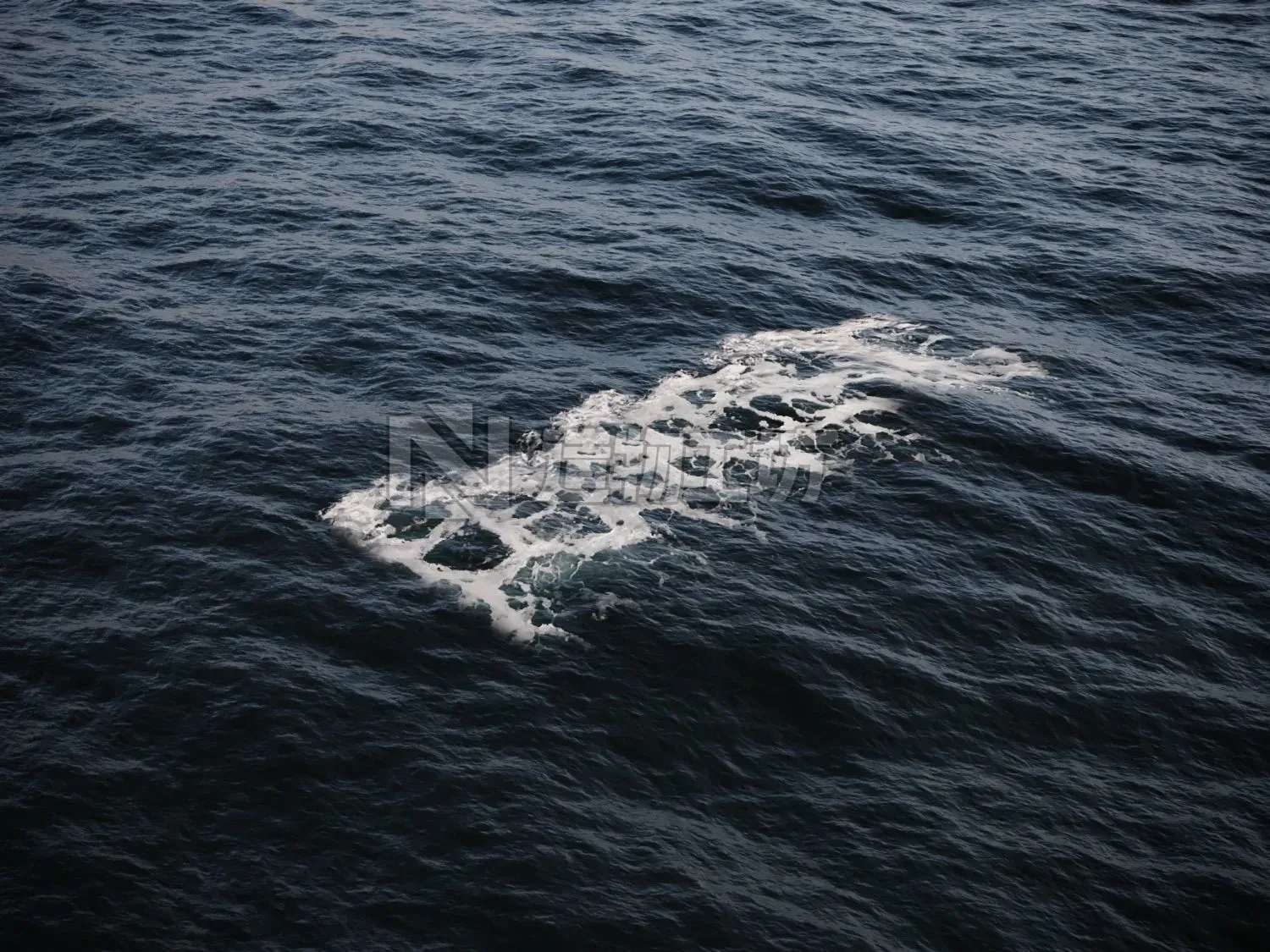 Ocean Water Foam Decals Vray and Corona  Texture