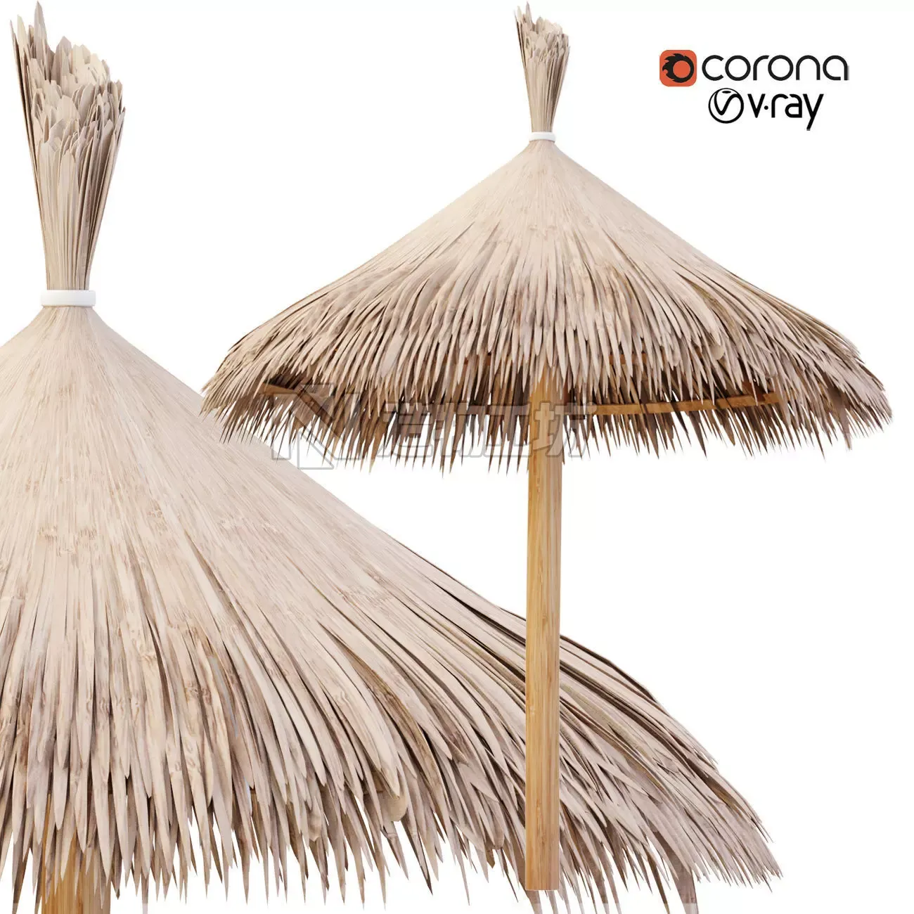 Bamboo Umbrella  3D model
