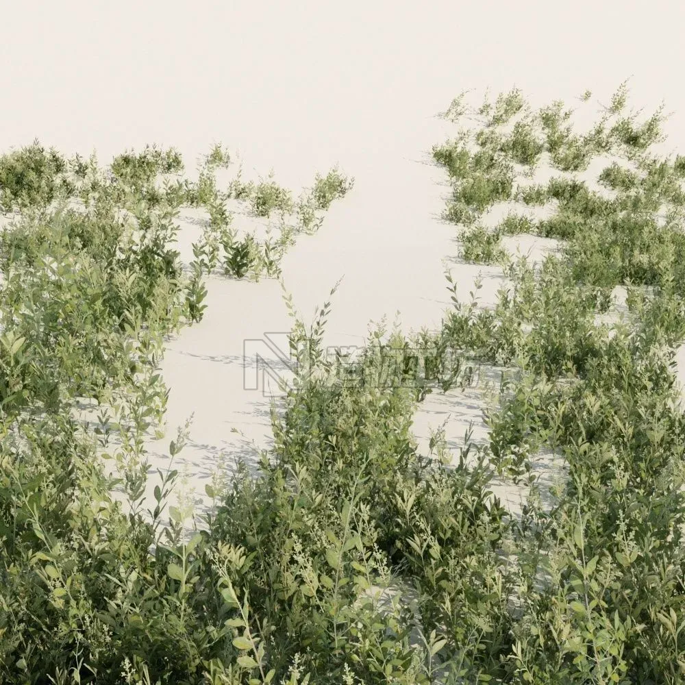 Nordic forest plant C Low-poly 3D model