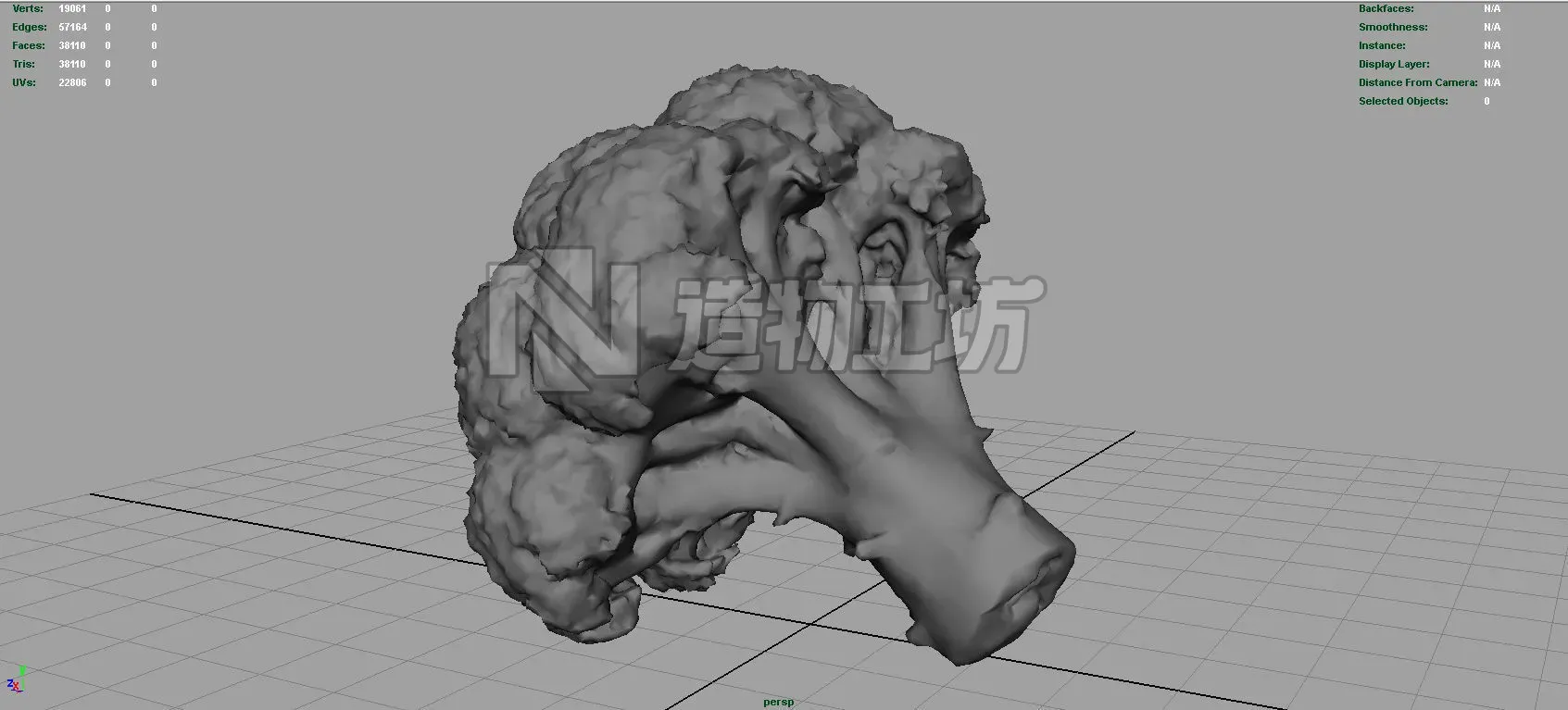 Broccoli   High and Low Poly blend 4 4 Included Low-poly 3D model