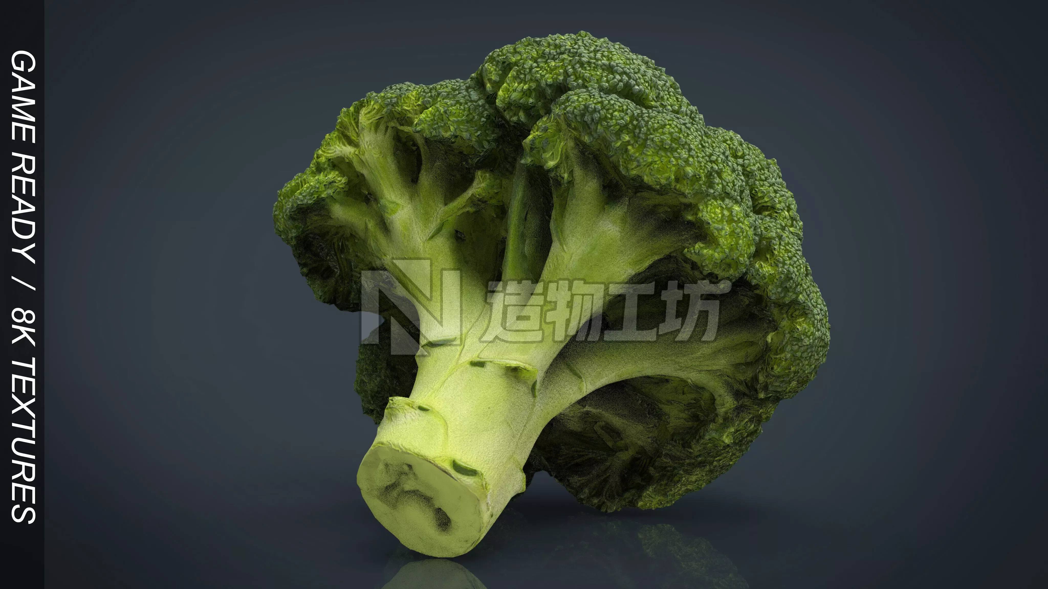 Broccoli   High and Low Poly blend 4 4 Included Low-poly 3D model