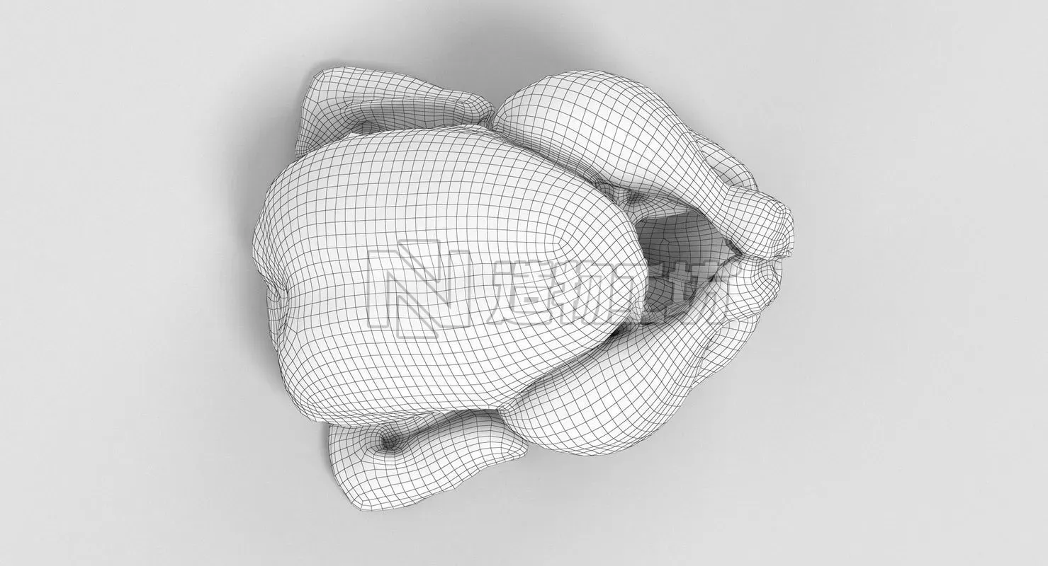 Raw Chicken 3D model