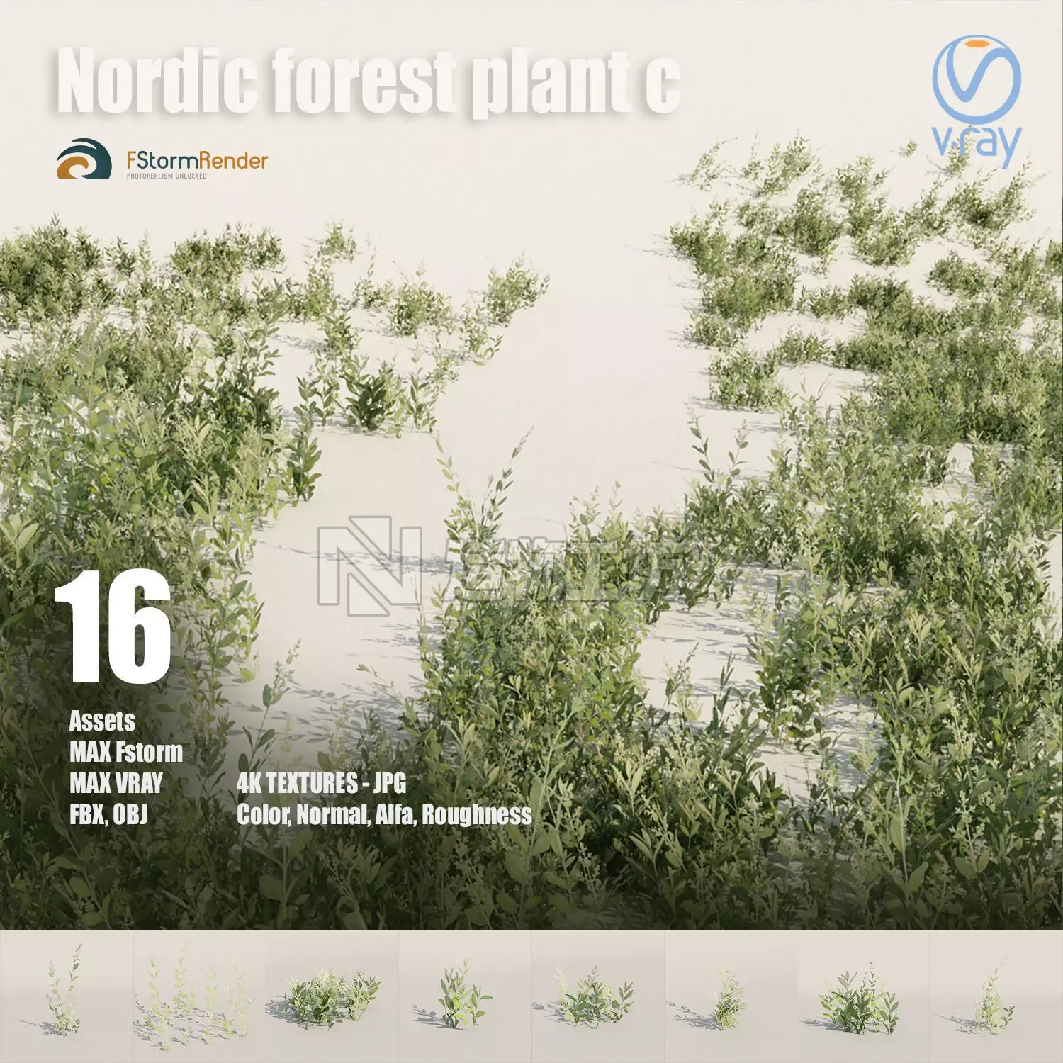 Nordic forest plant C Low-poly 3D model
